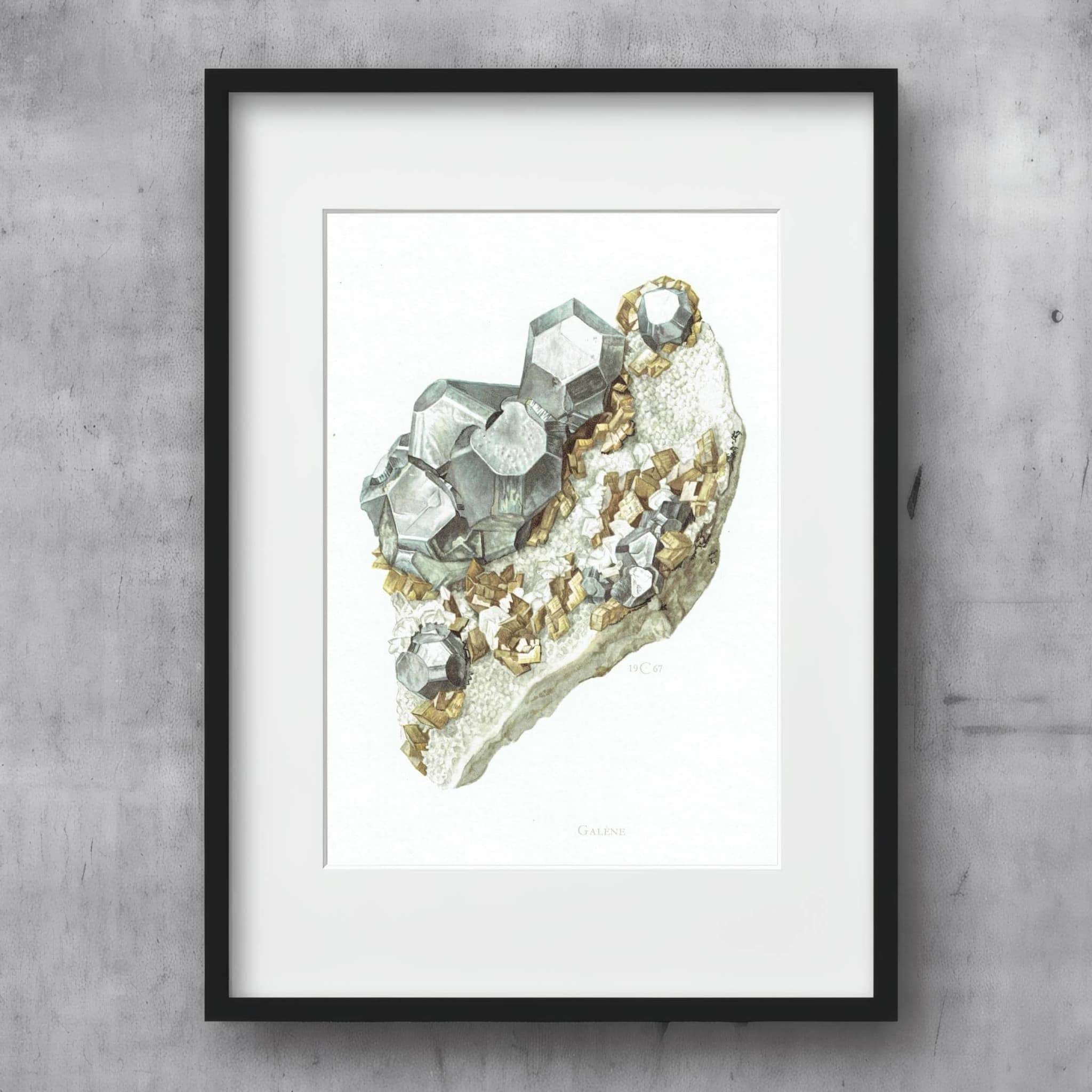 1969 Galene Crystal - Original Vintage Print By Caspari - Mineral Study Scientific Natural History Geology Art - 7.5 x 10.5 in