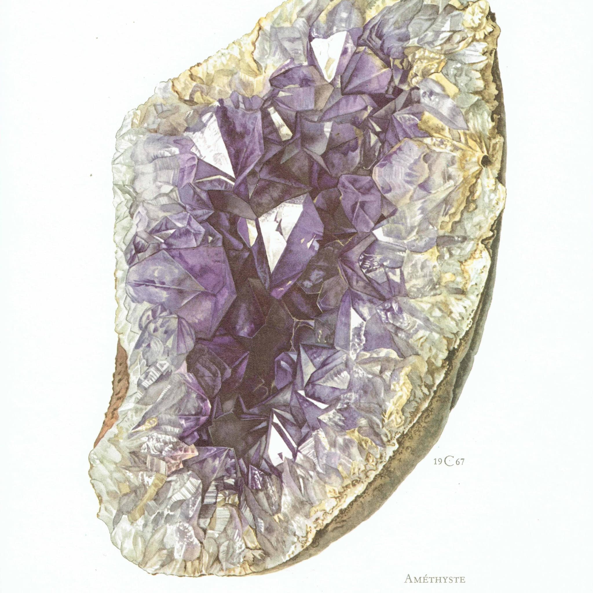 1969 Amethyst Geode - Original Vintage Print By Caspari - Mineral Study Scientific Natural History Geology Art - 7.5 x 10.5 in - Image 3