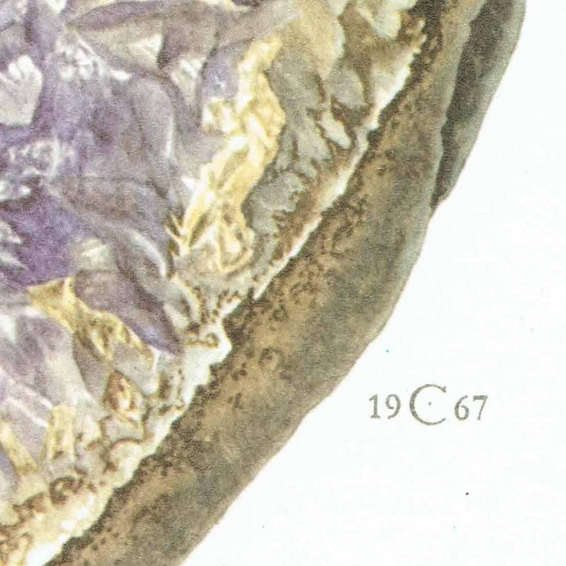 1969 Amethyst Geode - Original Vintage Print By Caspari - Mineral Study Scientific Natural History Geology Art - 7.5 x 10.5 in - Image 5
