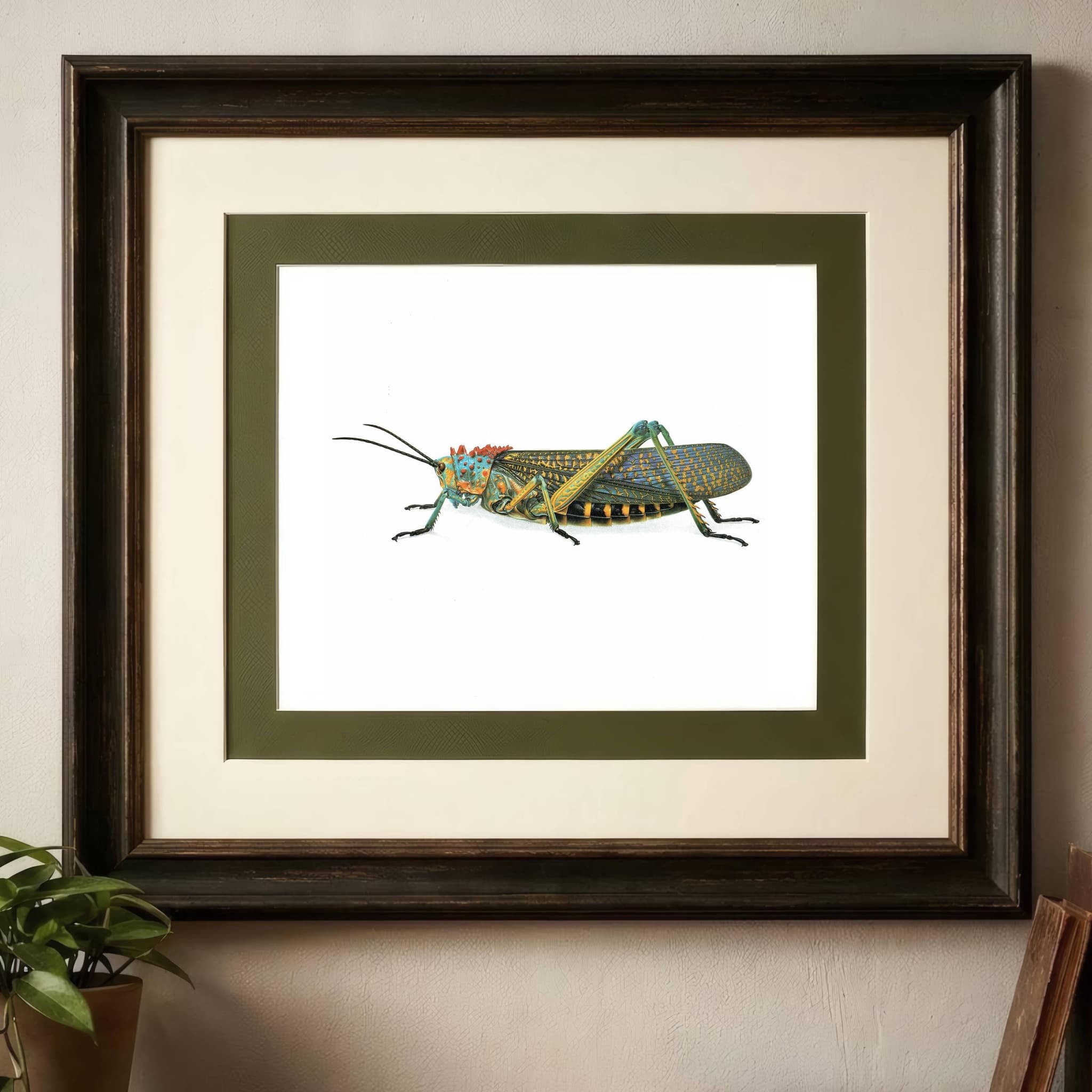 1986 Grasshopper Phymateus Saxosus Print - Durin Bernard Les Insectes - Scientific Illustration- Coquerel Entomology - 11 x 13 in - Image 2