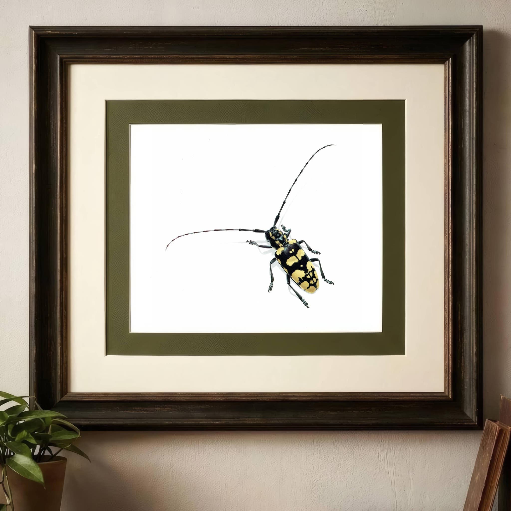1986 Longhorn Beetle Anoplophora Horsfieldi Print - Durin Bernard Les Insectes - Hope Frederick William Entomology Science - 11 x 13 in - Image 2