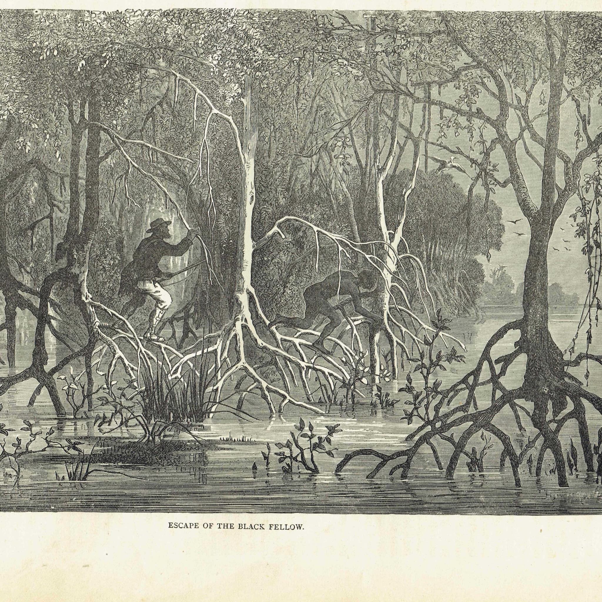 1875 Swamp Chase Scene - Antique Engraving By Bates - Illustrated Travels Vol 6 Victorian Mangrove Swamp Scene - 11.5 x 8 in