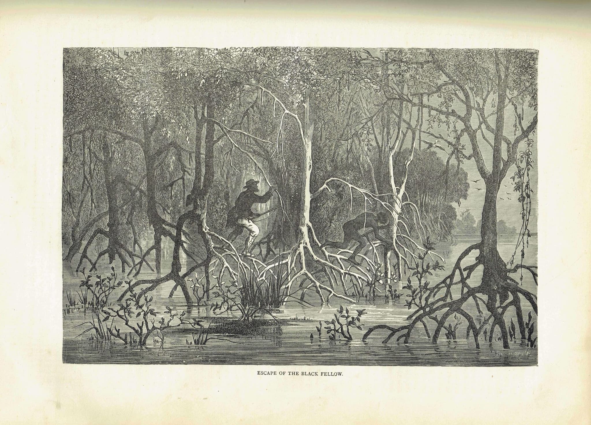 1875 Swamp Chase Scene - Antique Engraving By Bates - Illustrated Travels Vol 6 Victorian Mangrove Swamp Scene - 11.5 x 8 in - Image 2