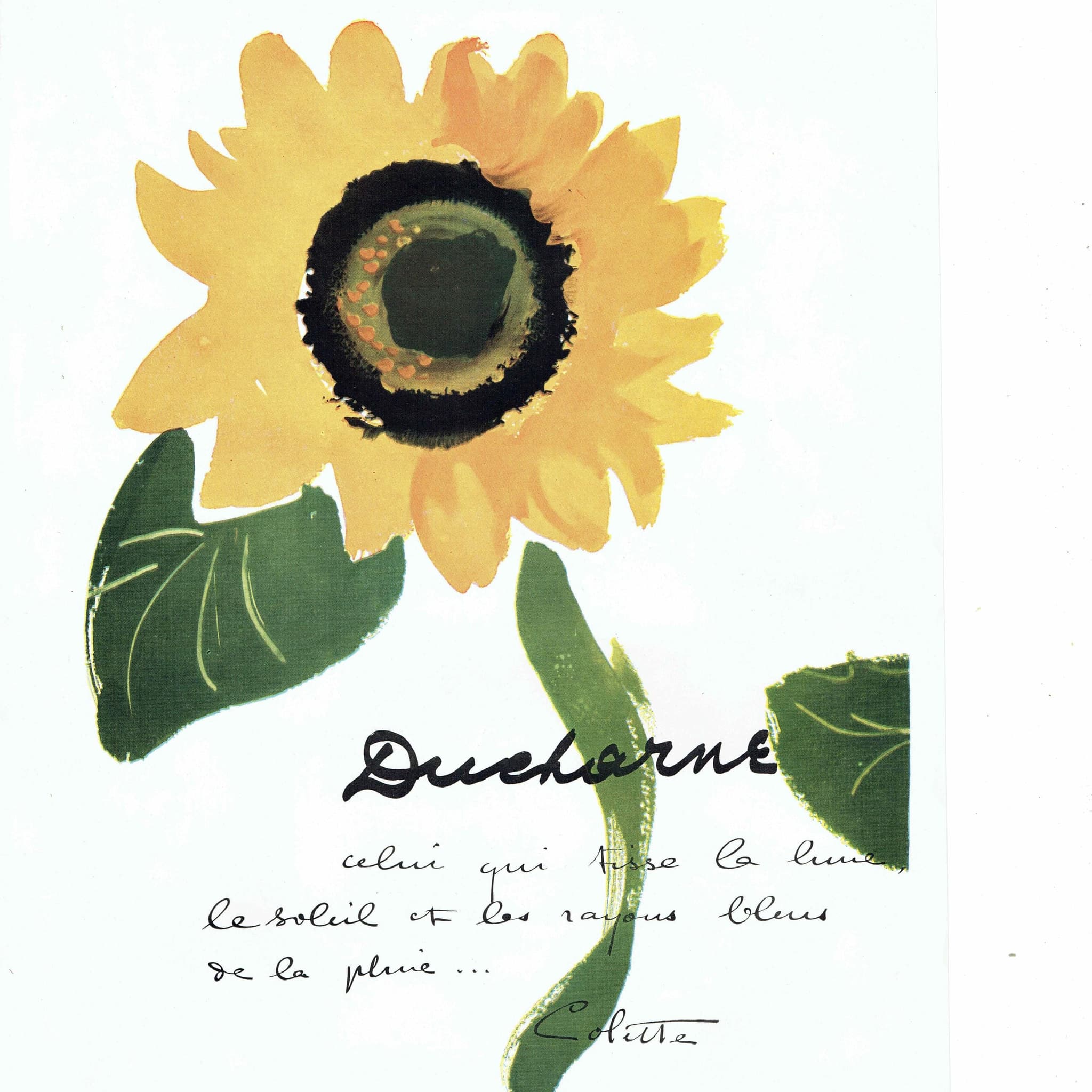 1947 Ducharne Sunflower & Cartier Centenary - Original Vintage Print - French Luxury Fashion Advertising Soleils Folio - 10.25 x 14.5 in