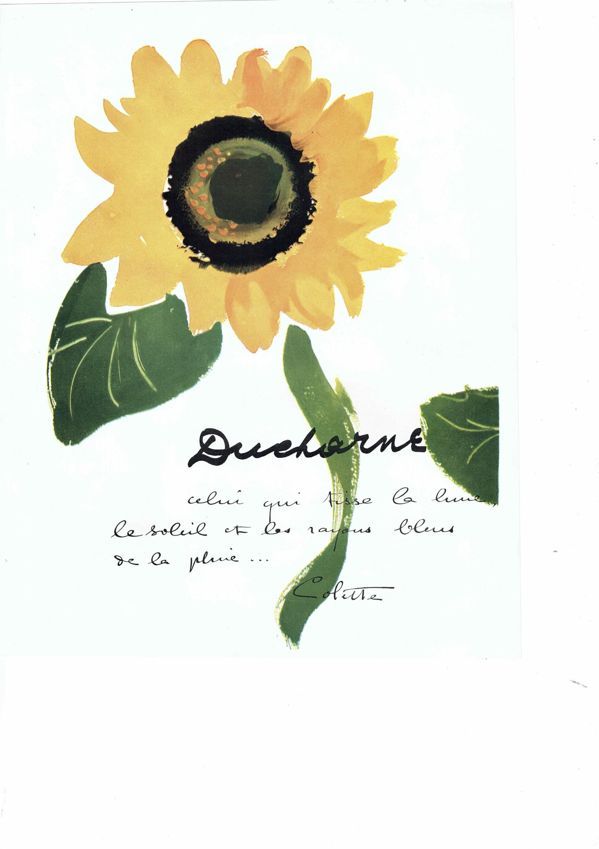 1947 Ducharne Sunflower & Cartier Centenary - Original Vintage Print - French Luxury Fashion Advertising Soleils Folio - 10.25 x 14.5 in - Image 3