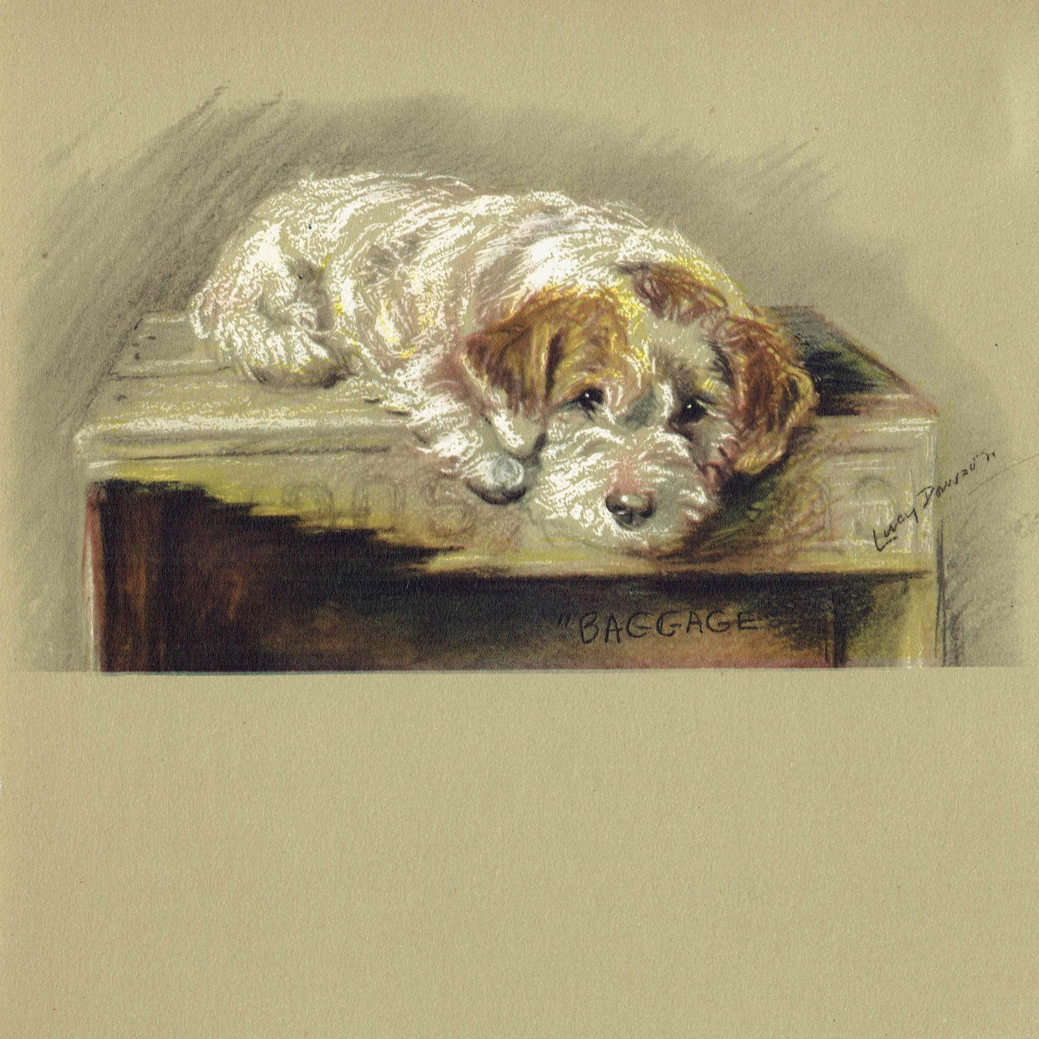 1946 Wire Fox Terrier 'Baggage' - Original Vintage Print By Dawson - Dog Portrait Pet Art Neighbours Lucy - 7 x 9.5 in