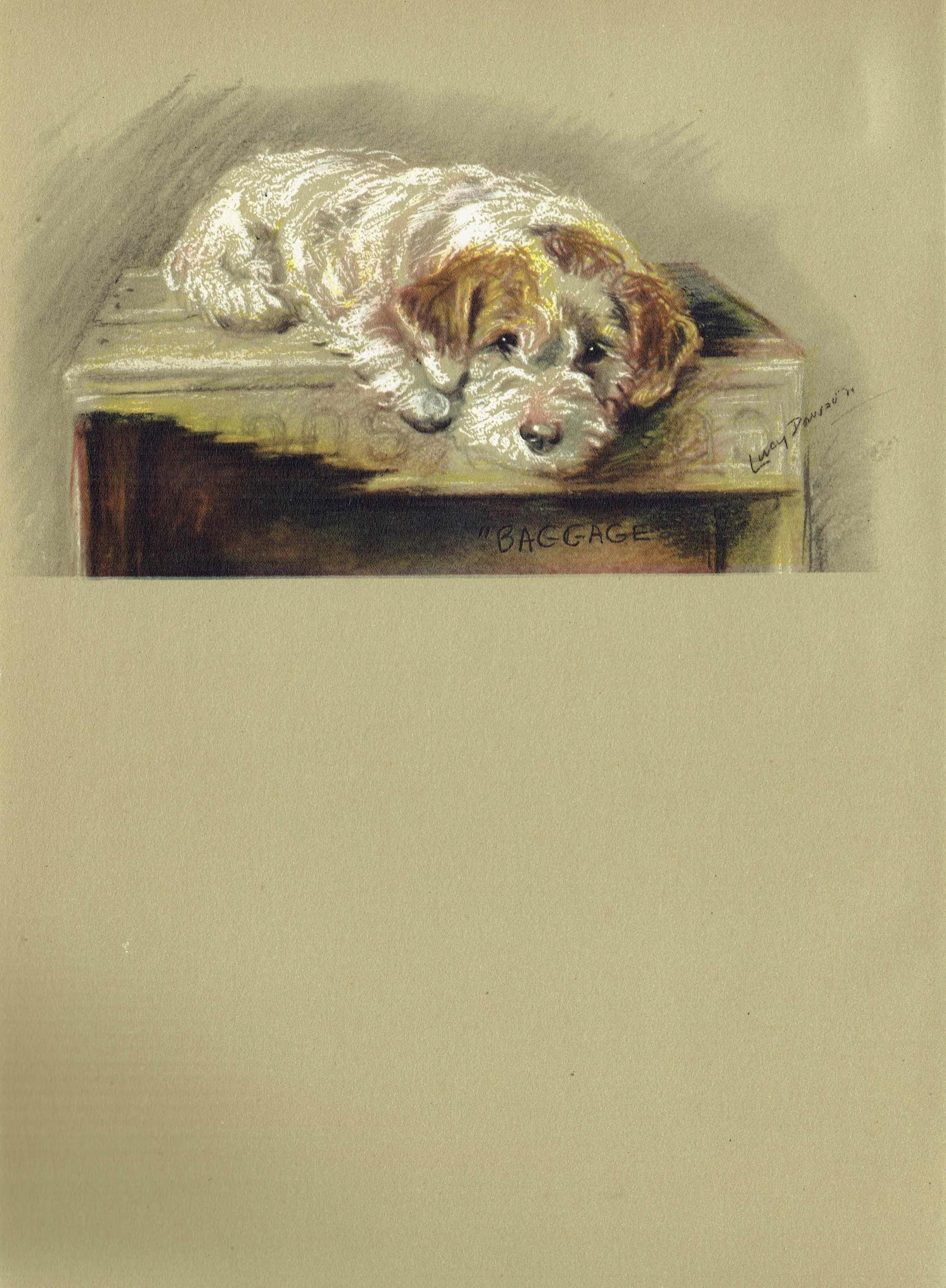 1946 Wire Fox Terrier 'Baggage' - Original Vintage Print By Dawson - Dog Portrait Pet Art Neighbours Lucy - 7 x 9.5 in - Image 2