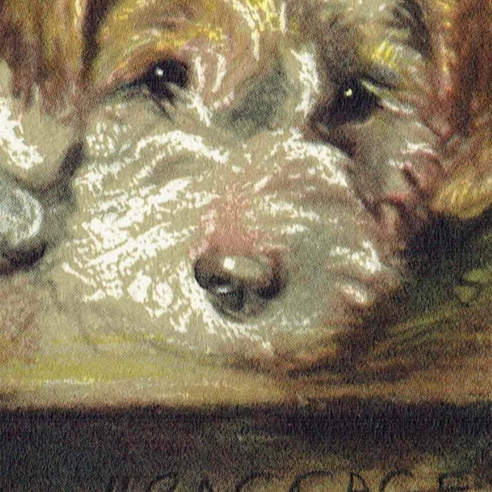 1946 Wire Fox Terrier 'Baggage' - Original Vintage Print By Dawson - Dog Portrait Pet Art Neighbours Lucy - 7 x 9.5 in - Image 3
