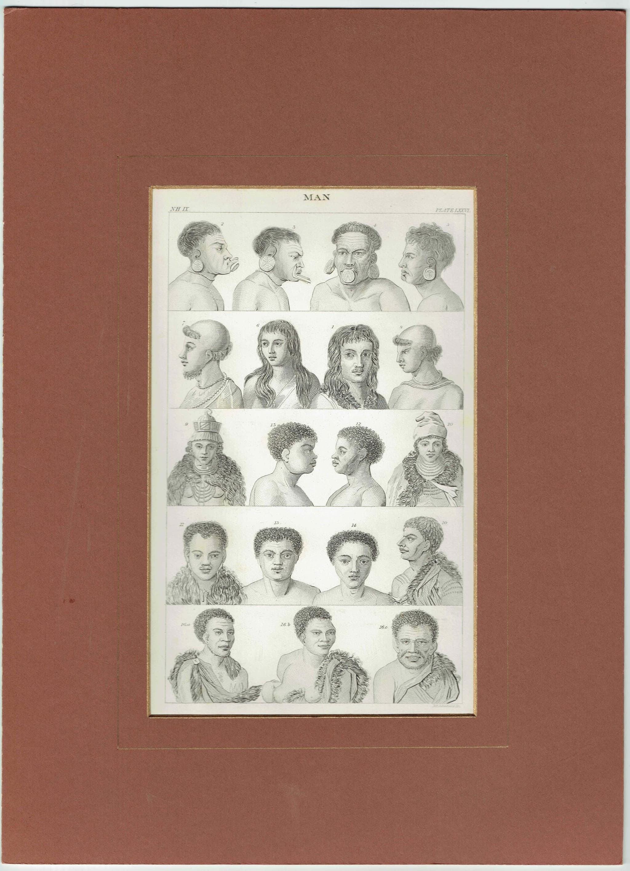 c.1850 Man Heads Print - Black & White - Male Head Engravings - Head Studies - 10 x 6.5 in