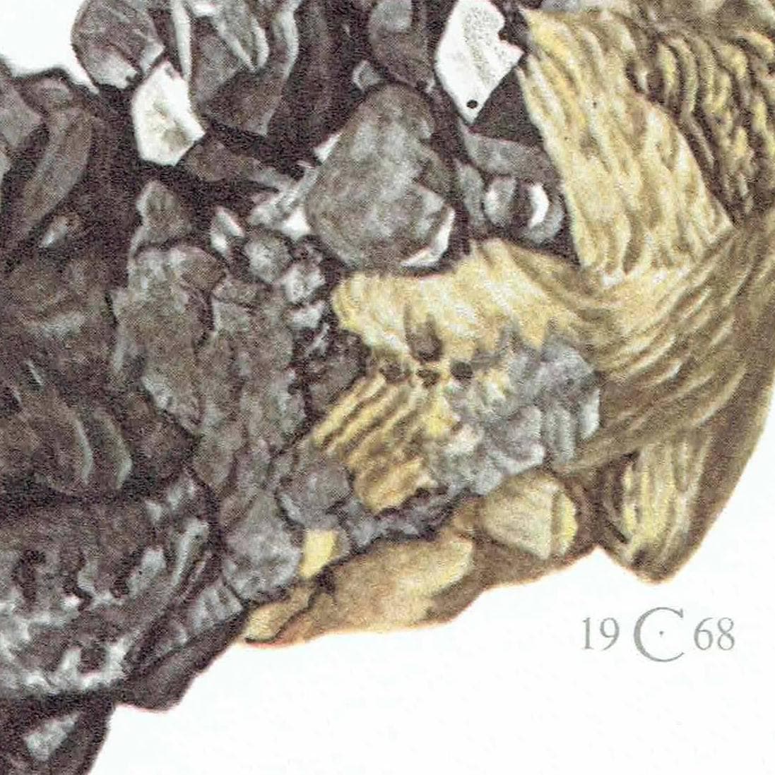 1969 Stephanite Argentite Minerals - Original Vintage Print By Caspari - Scientific Natural History Geology Study - 7.5 x 10.5 in - Image 5