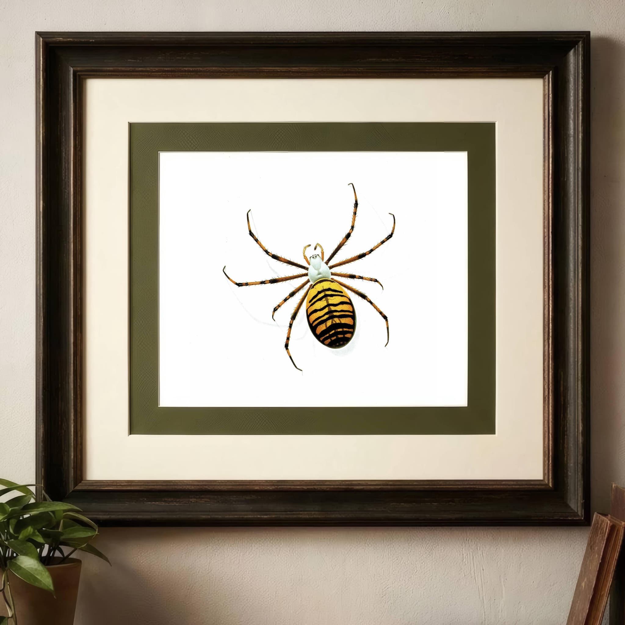 1986 Wasp Orb-Weaver Spider Argiope Bruennichii Print - Durin Bernard Les Insectes Scientific Illustration - Scopoli Entomology - 11 x 13 in - Image 2