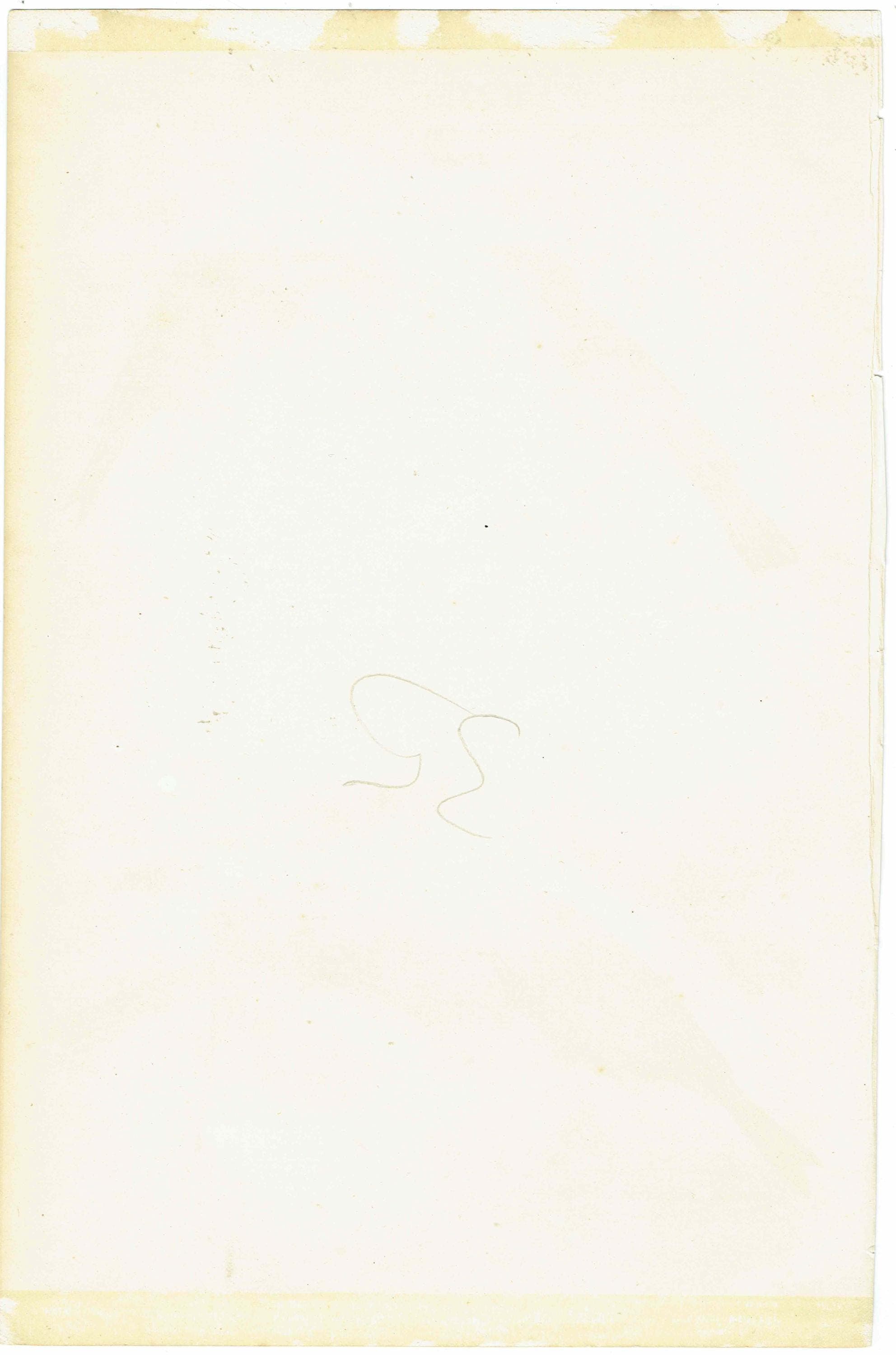 c.1870 Passeres Dentirostres Print - Great Grey Shrike, Mocking‐bird, Spotted Flycatcher - Hand Coloured Ornithology Art - 9.75 x 6.25 in - Image 5