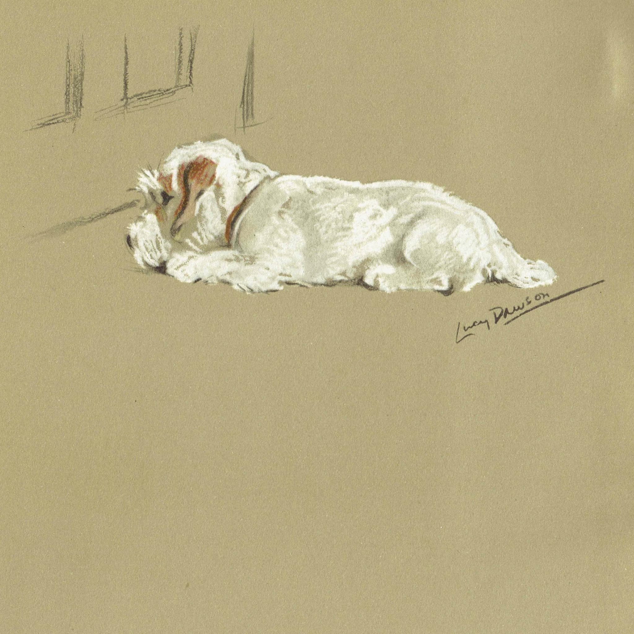 1946 Sleeping Clumber Spaniel - Original Vintage Print By Dawson - Lucy Dawson Neighbours Dog Portrait Pet Art - 7 x 9.5 in