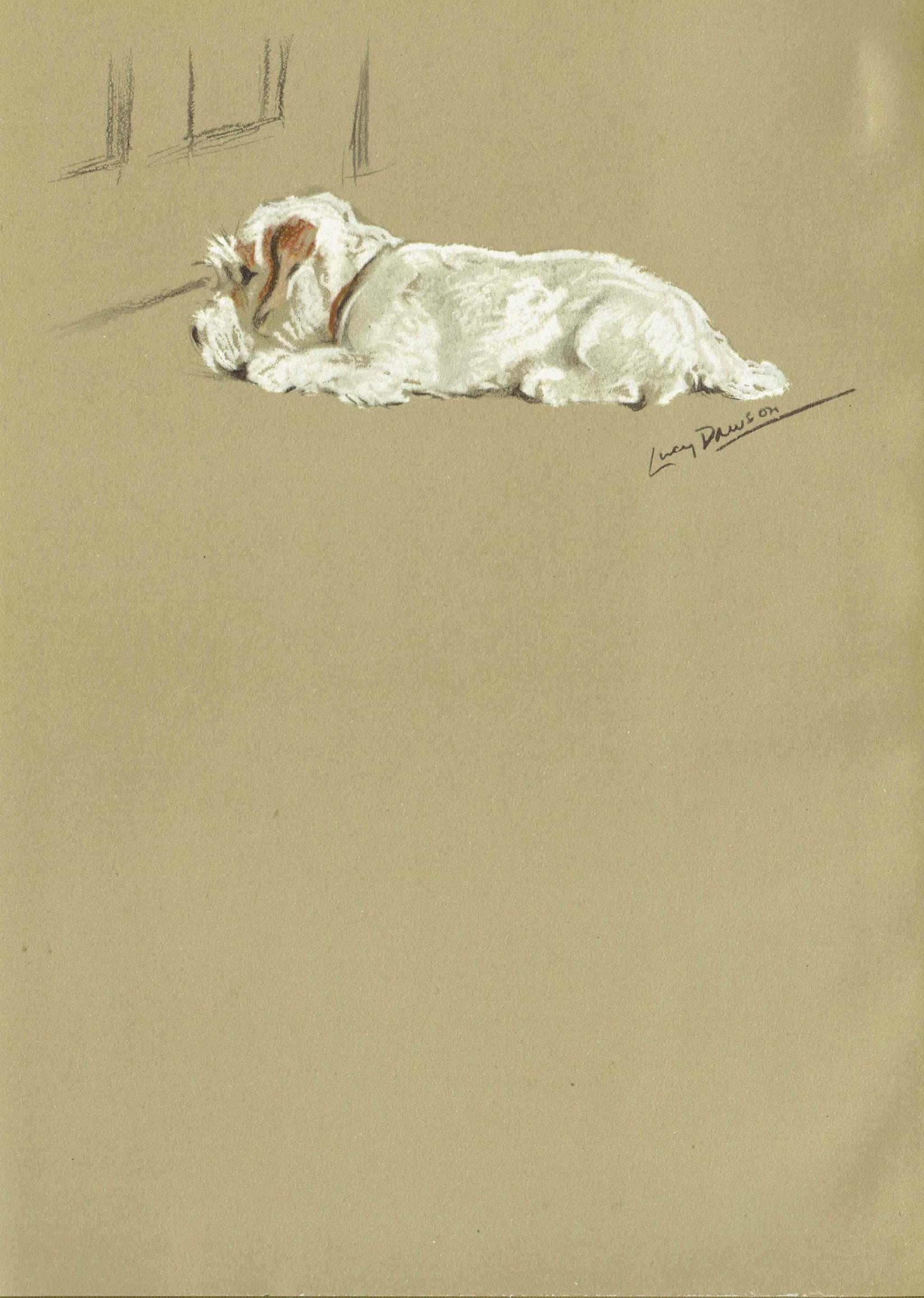 1946 Sleeping Clumber Spaniel - Original Vintage Print By Dawson - Lucy Dawson Neighbours Dog Portrait Pet Art - 7 x 9.5 in - Image 2