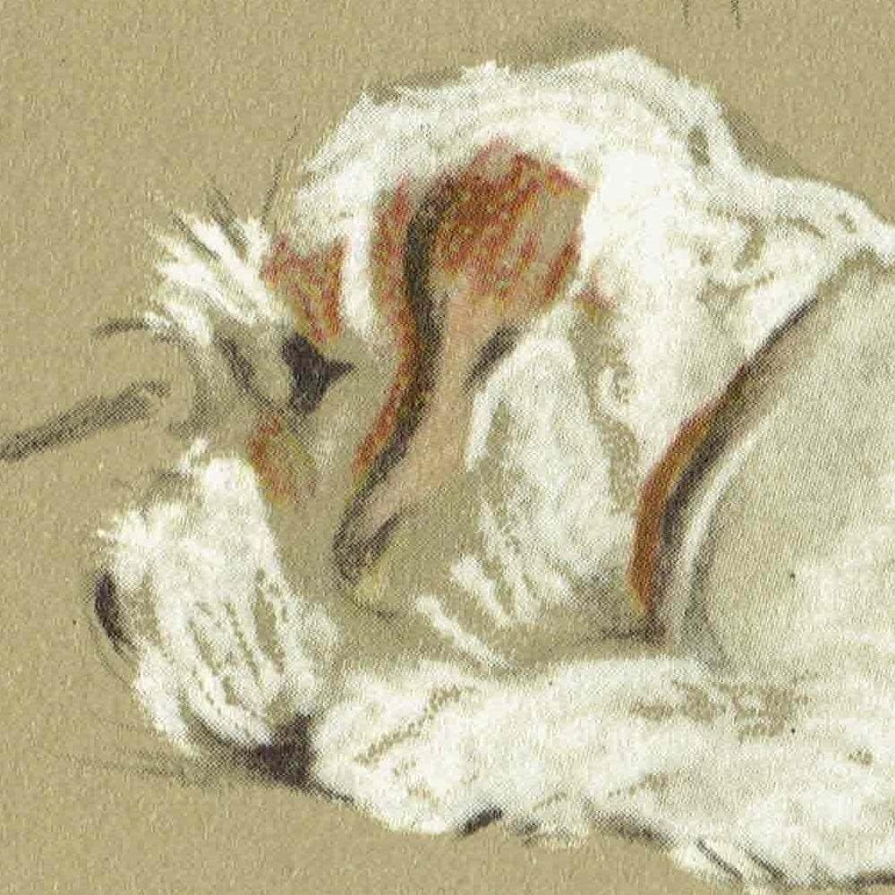 1946 Sleeping Clumber Spaniel - Original Vintage Print By Dawson - Lucy Dawson Neighbours Dog Portrait Pet Art - 7 x 9.5 in - Image 3