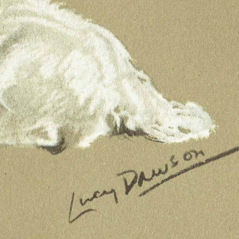 1946 Sleeping Clumber Spaniel - Original Vintage Print By Dawson - Lucy Dawson Neighbours Dog Portrait Pet Art - 7 x 9.5 in - Image 4
