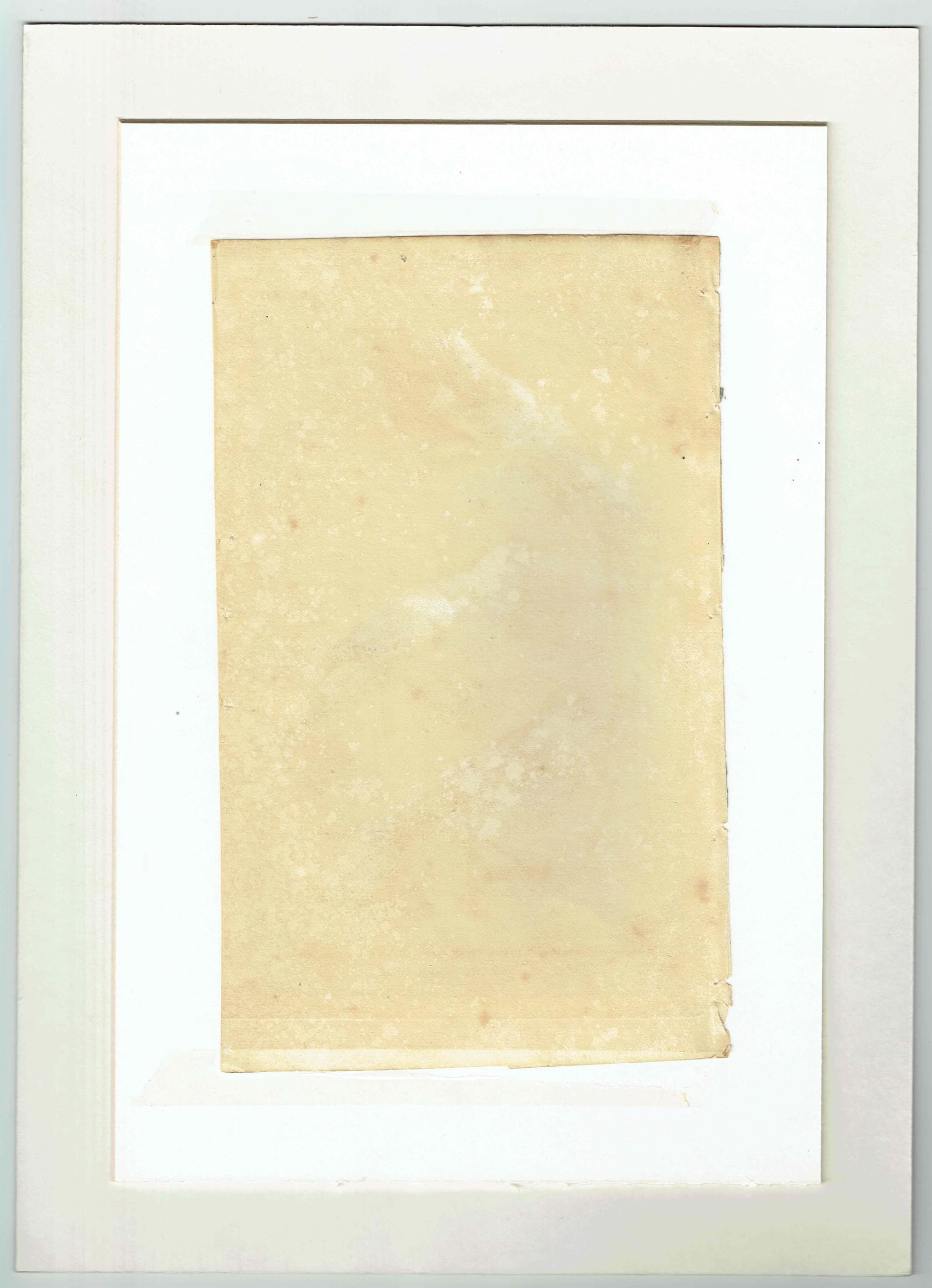 1835 Birds Cuvier Animal Kingdom Print - Ornithology Hand-Coloured Print - Shrike, Choucari, Norfolk Island Waker Illustration - 9 x 5.5 in - Image 4