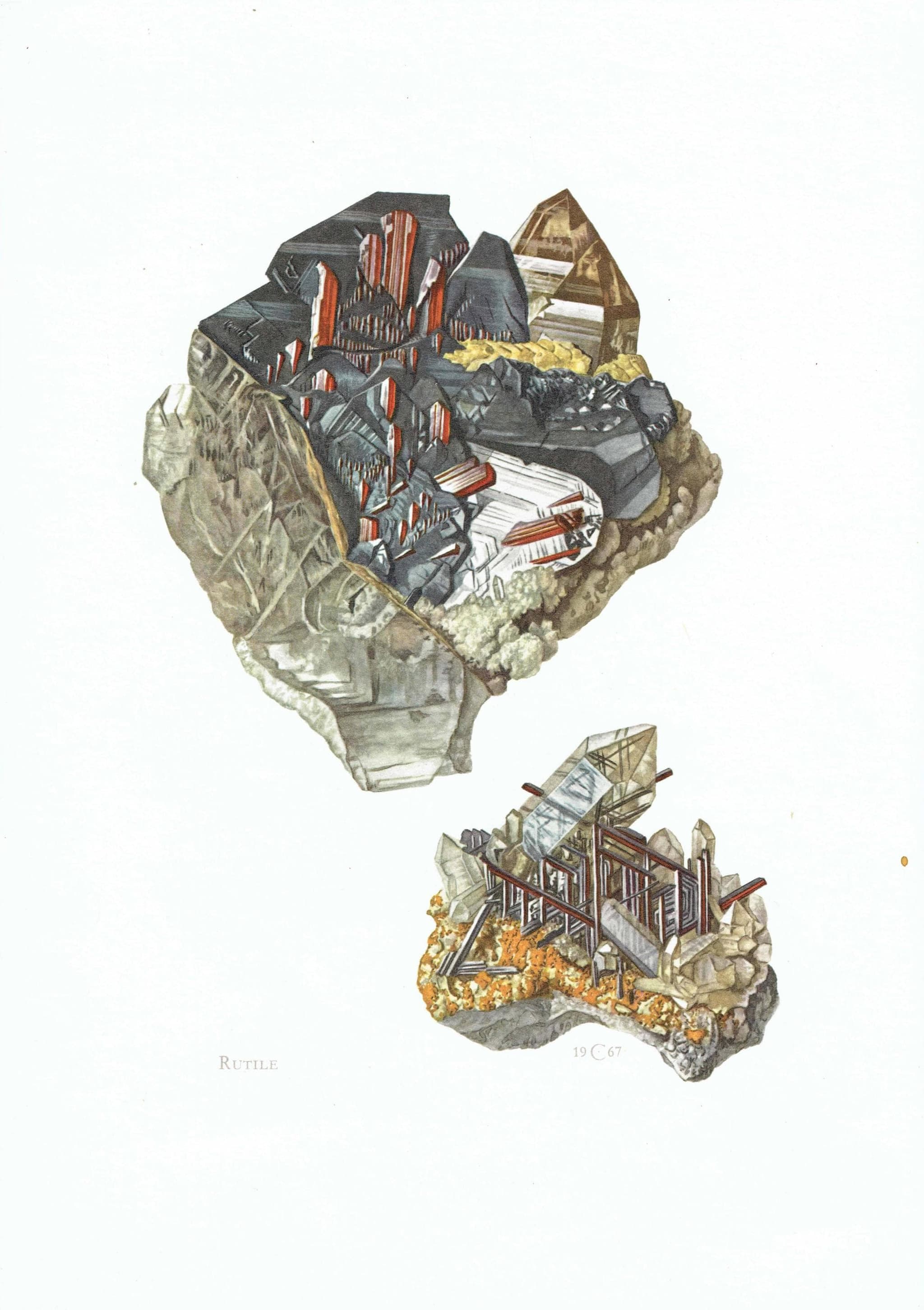 1969 Rutile Crystal - Original Vintage Print By Caspari - Mineral Study Scientific Natural History Geology Art - 7.5 x 10.5 in - Image 2