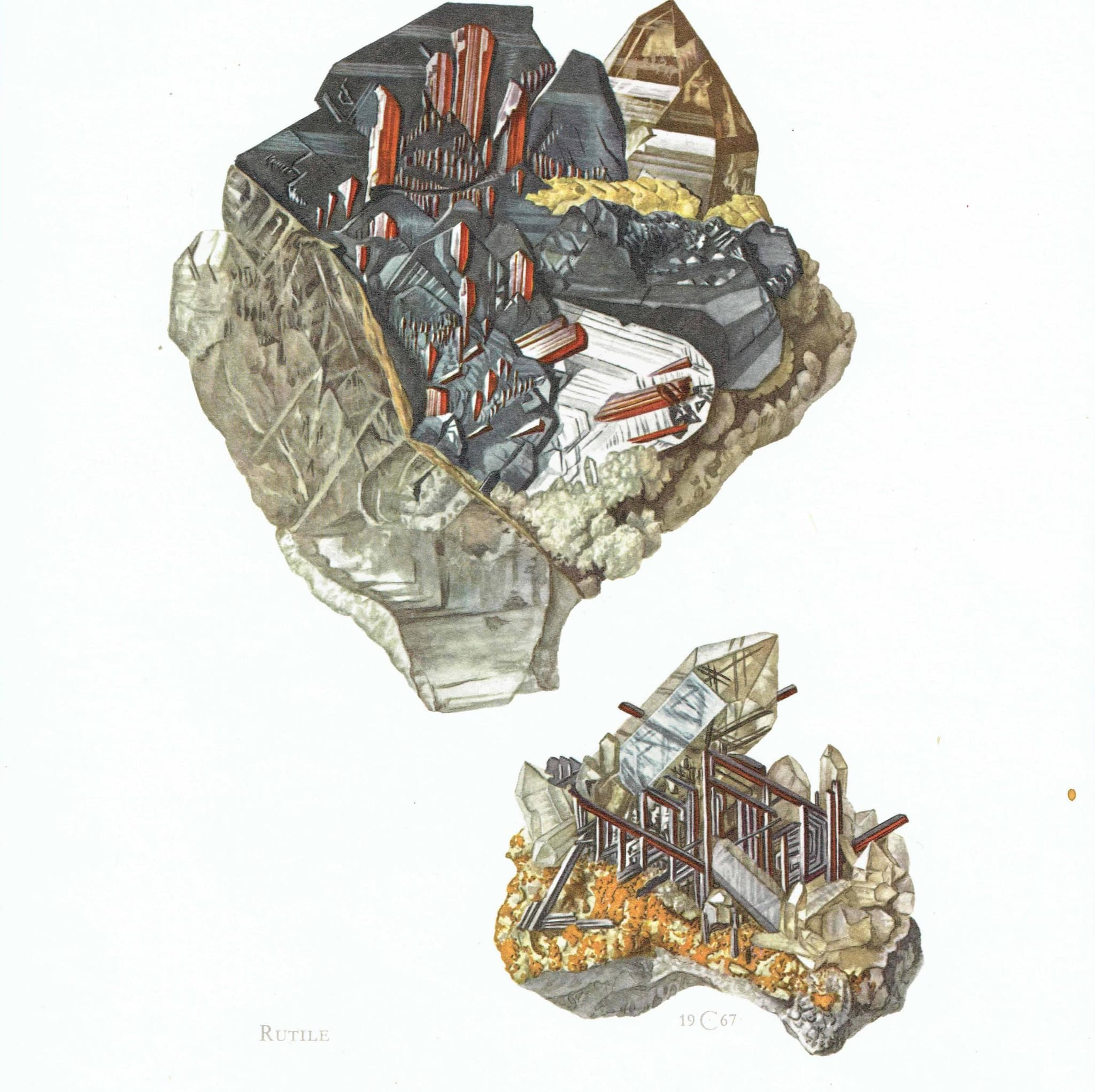 1969 Rutile Crystal - Original Vintage Print By Caspari - Mineral Study Scientific Natural History Geology Art - 7.5 x 10.5 in - Image 3
