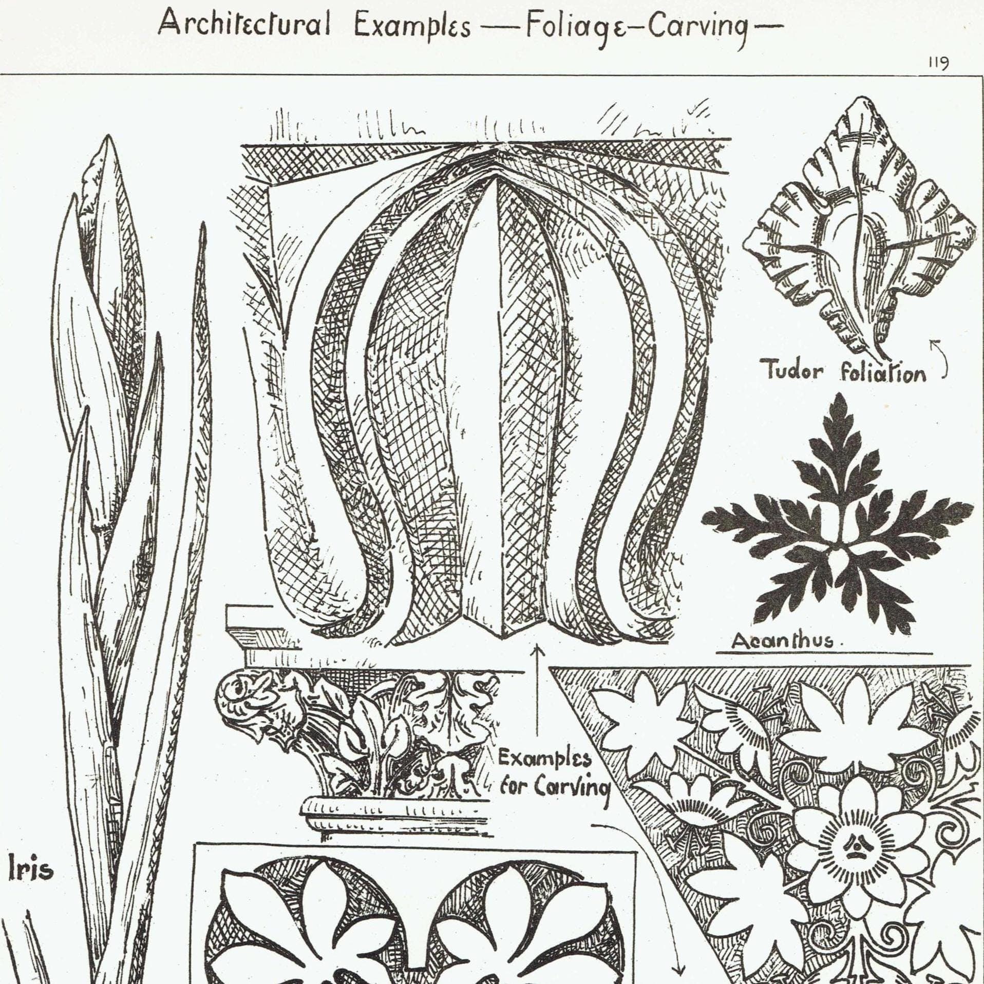 1898 Foliage Carving Architecture Print - Tudor Foliation, Acanthus & Iris Motifs - Antique Decorative Design Plate - 8 x 10.75 in - Image 2