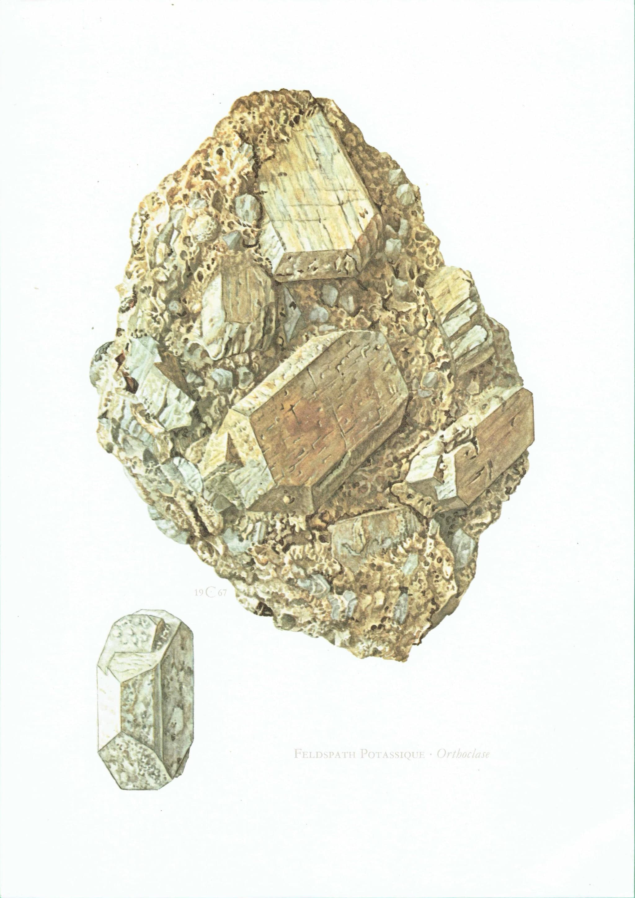 1969 Orthoclase Feldspar - Original Vintage Print By Caspari - Mineral Study Scientific Natural History Geology Art - 7.5 x 10.5 in - Image 2