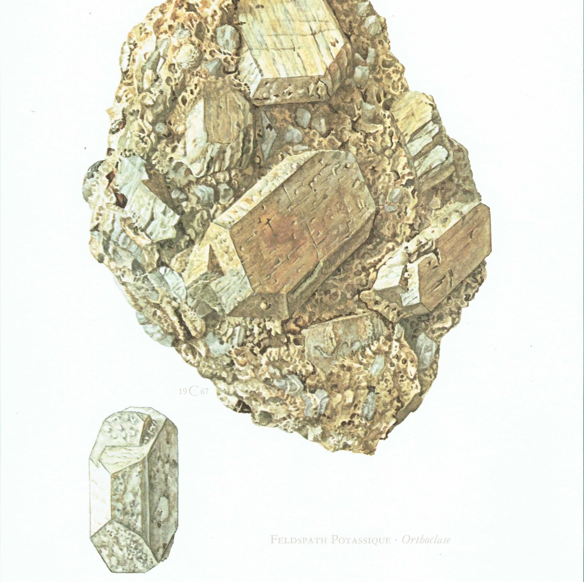 1969 Orthoclase Feldspar - Original Vintage Print By Caspari - Mineral Study Scientific Natural History Geology Art - 7.5 x 10.5 in - Image 3