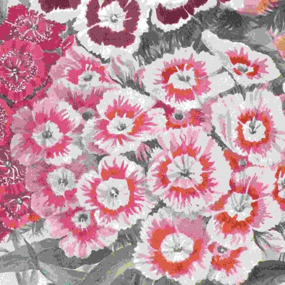 1950s Sweet Williams Botanical Print - Vintage Garden Flower Illustration from The Popular Encyclopaedia of Gardening - 7 x 9.5 in - Image 4