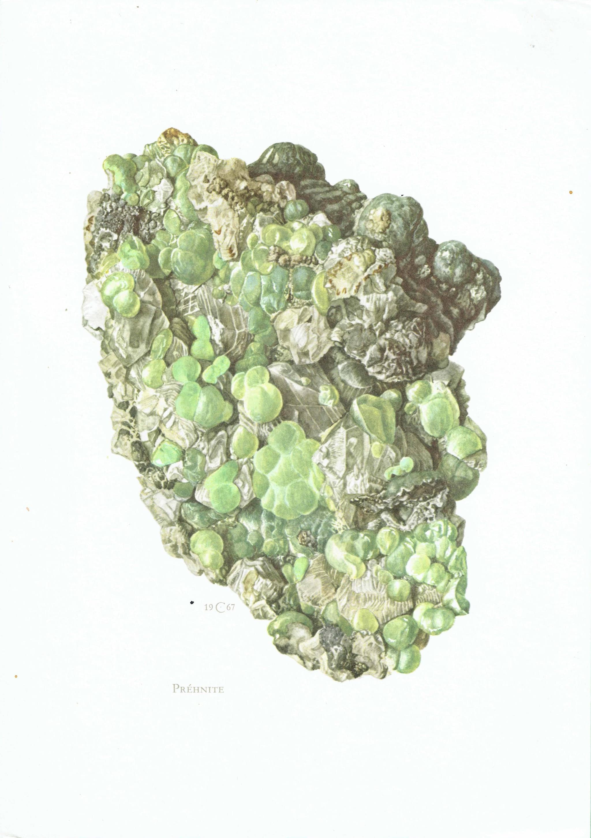 1969 Prehnite Mineral - Original Vintage Print By Caspari - Scientific Natural History Geology Study Collection - 7.5 x 10.5 in - Image 2