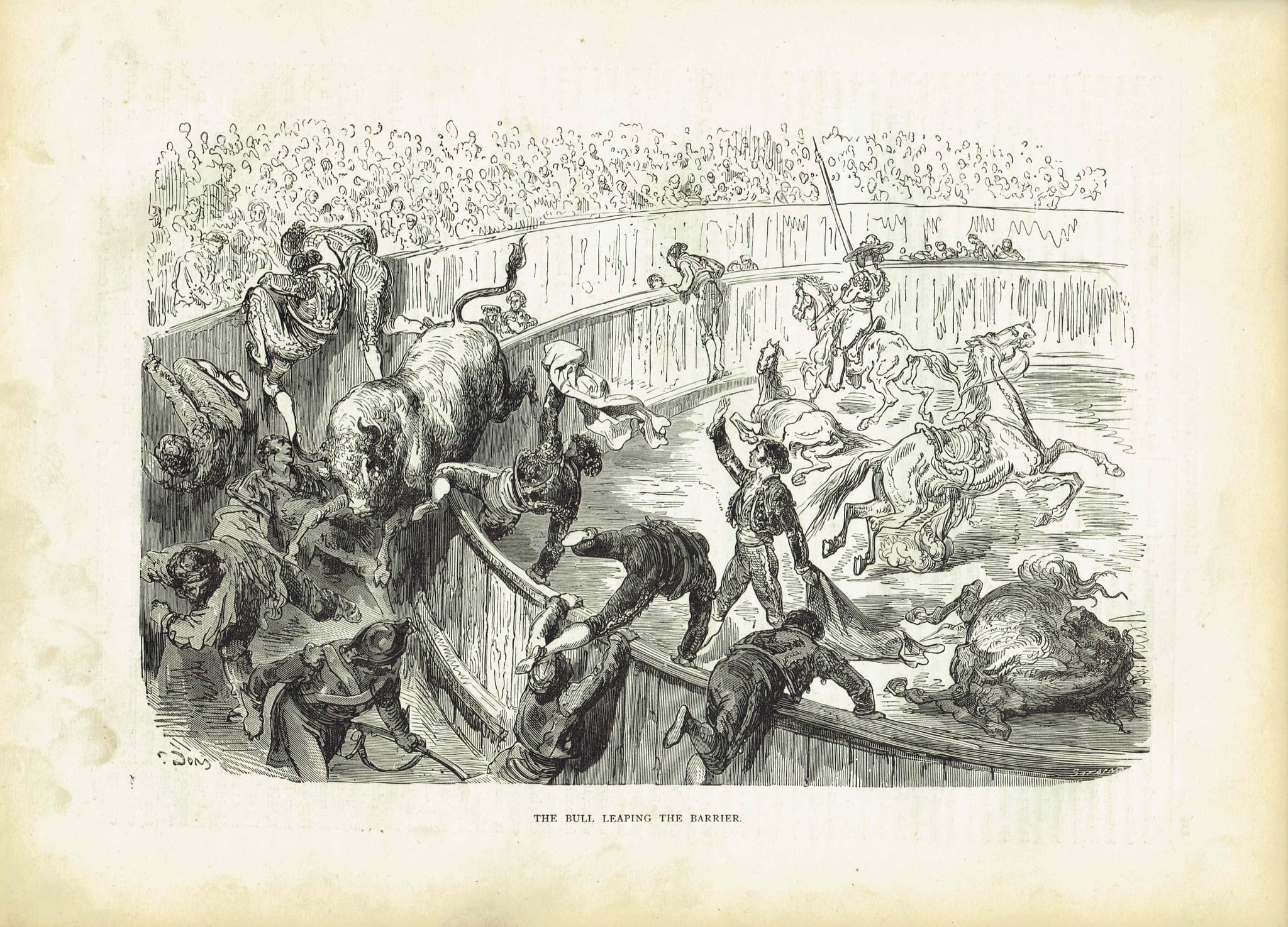 1870s Bull Leaping Arena Original Woodblock Print - Victorian Bullfighting Scene - Antique Book Illustration - 12 x 8.5 in - Image 2