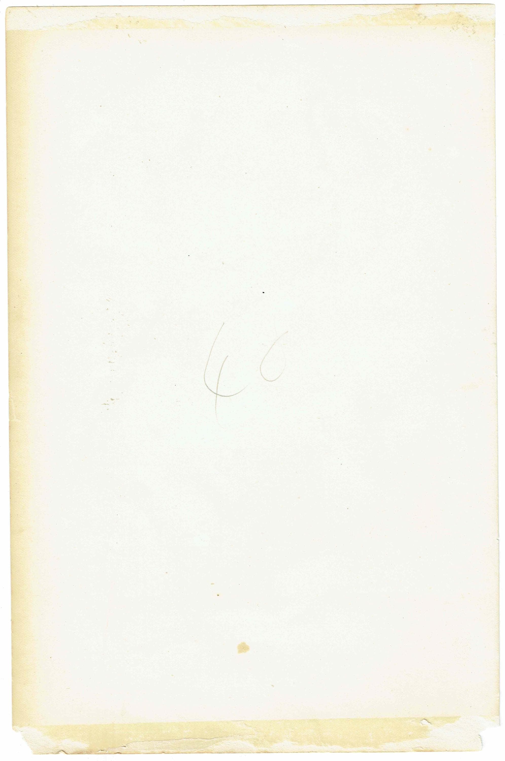 c.1890 Pelecanidae Print - Vaillant’s Darter & White Gannet - Hand Coloured Ornithology Art - 9.5 x 6.25 in - Image 5