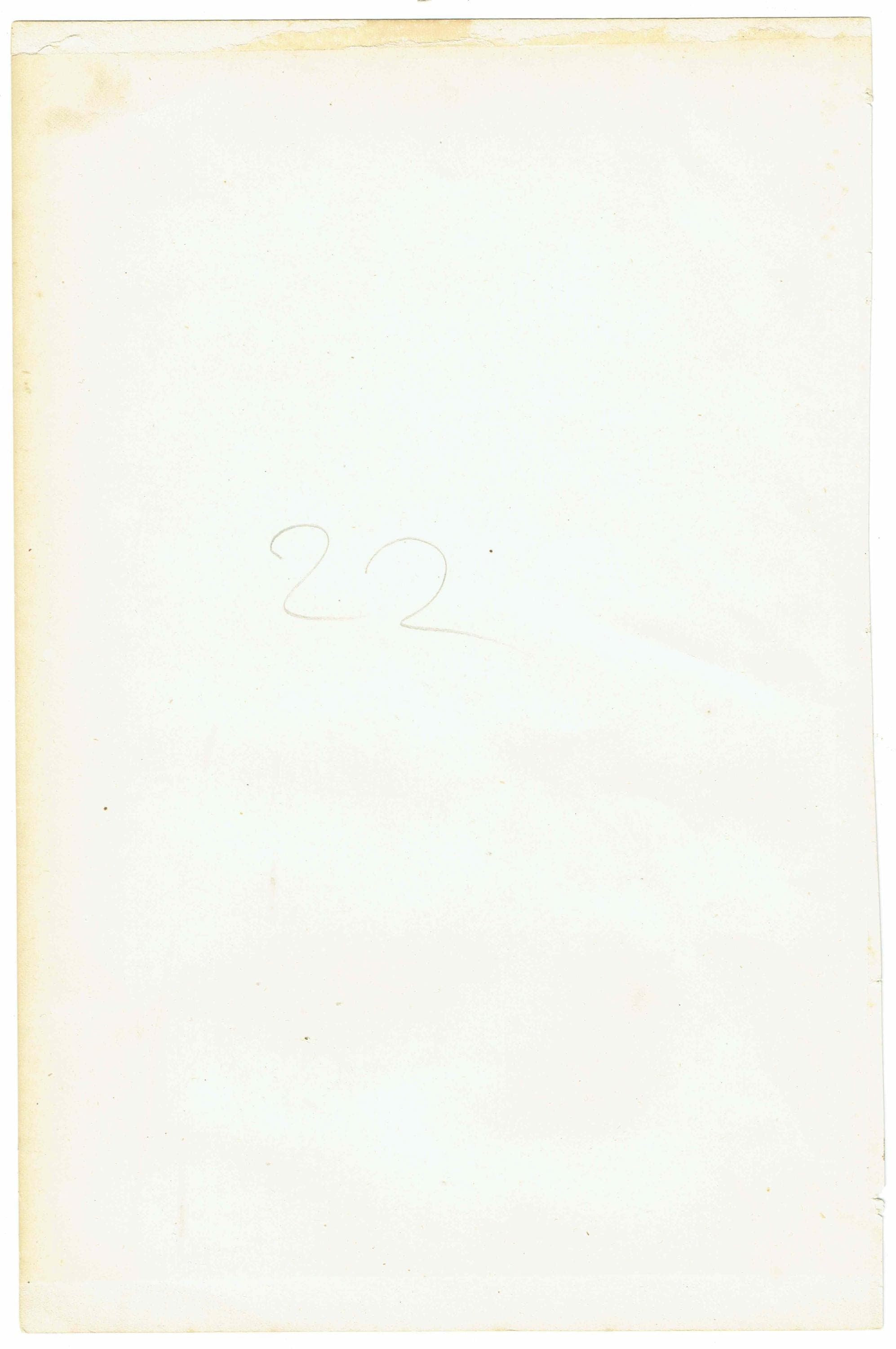 1896 Birds Original Print - Bird Wall Art - Bird Wood Engraving - Antique Animal Print - Ornithology Print - 6.25 x 9.5 Inches - Image 5