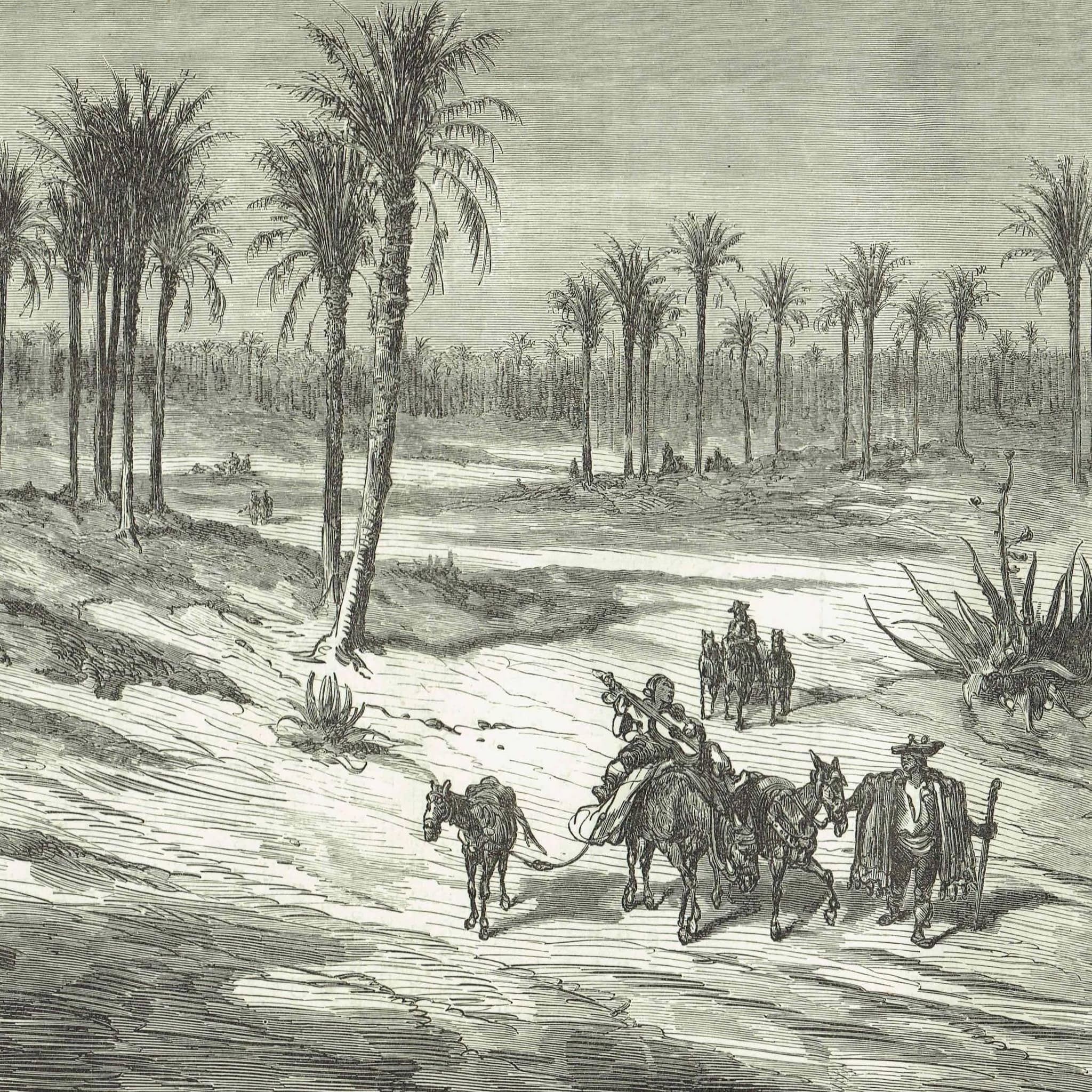 1870s Original Detailed Spanish Palm Grove Landscape Woodblock Print - Victorian Travel Book Drawing - Antique Alicante Scene - 12 x 8.5 in - Image 3