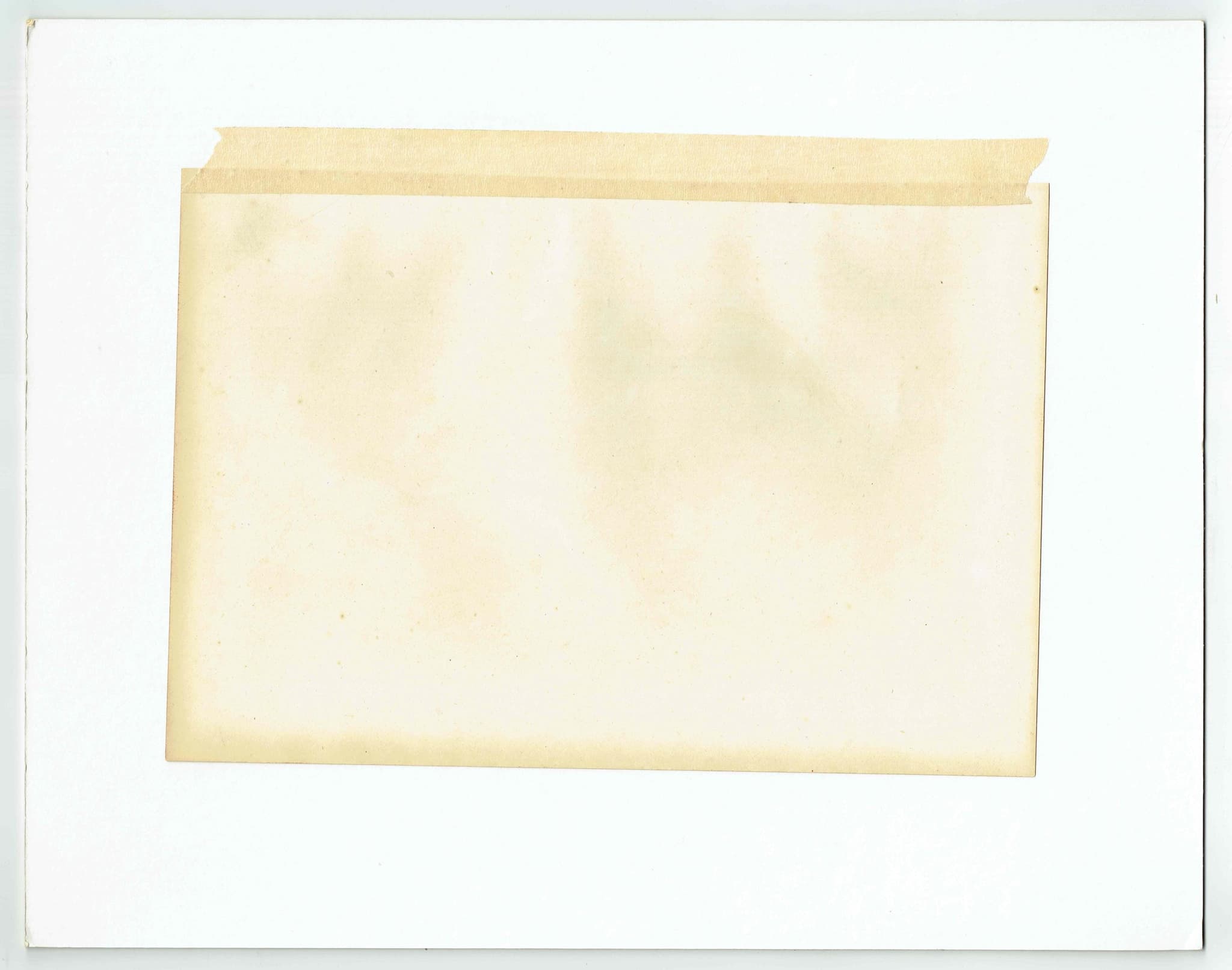 c.1880 Four Bear Species Print – Grisly, Brown, Black & Polar Bear – Natural History Illustration – 6.5 x 9.5 in - Image 4