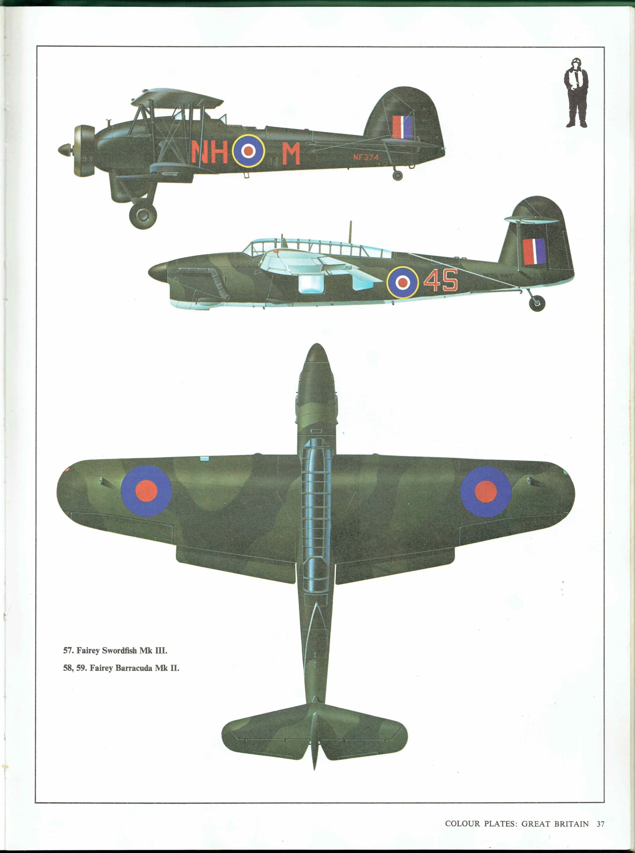1985 - Fairey Swordfish Mk III & Fairey Barracuda Mk II Aircraft Print - Vintage WWII British Naval Planes by John A Weal - 8 x 10.75 in - Image 3