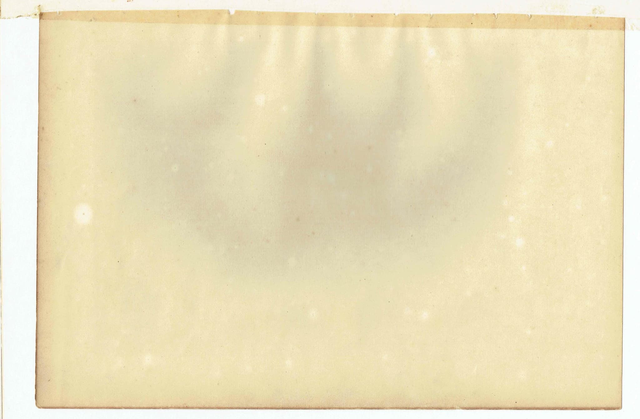 c.1896 Seal Print – P. Vitulina - Common Seal Print – Marine Mammal Natural History – 6.5 x 9.5 in - Image 3