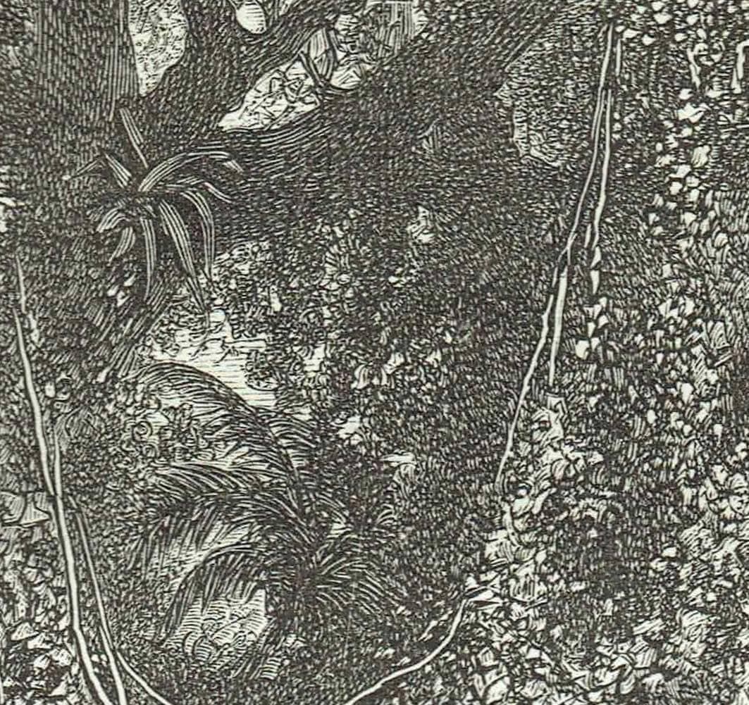 1870s Original Victorian Steamboat Orinoco River Woodblock Print - South American Exploration Print - Historical Travel - 8.5 x 12 in - Image 4