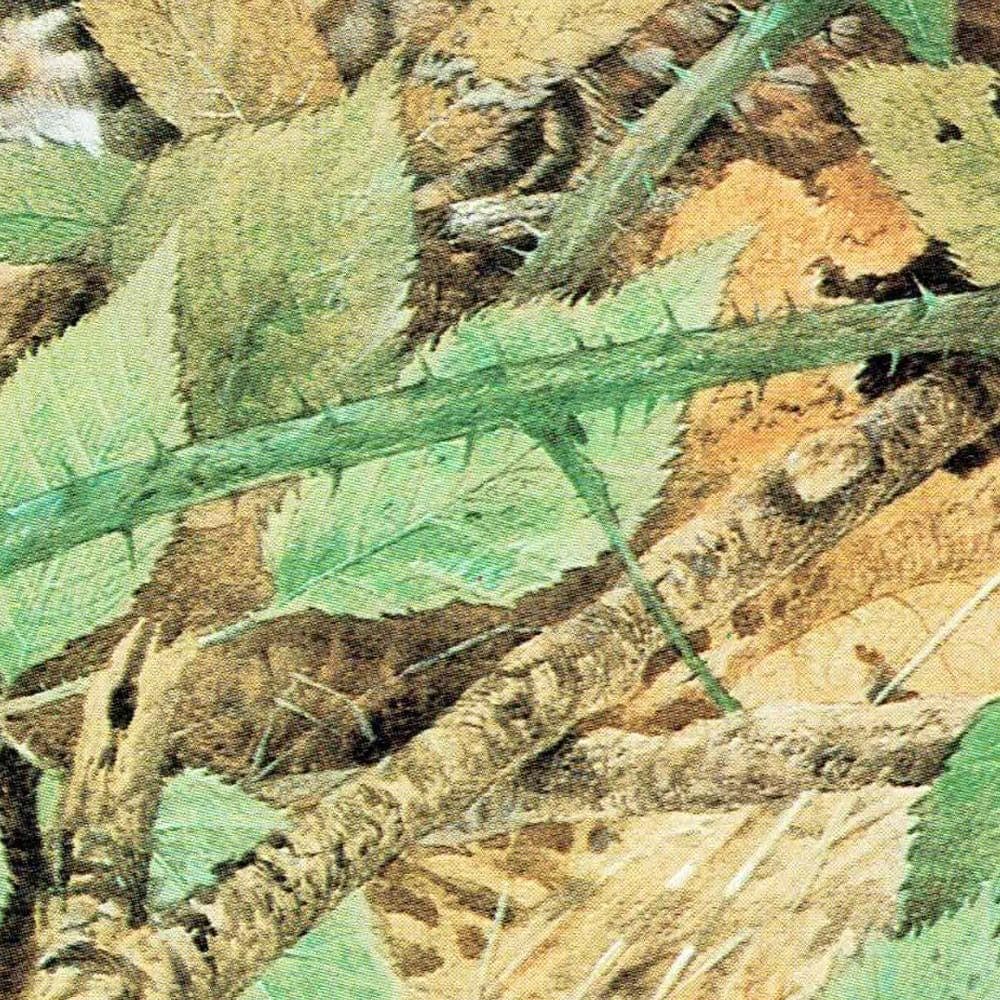 1980s Hazel Grouse - Game Birds Wildlife Original Vintage Print By Pledger - Natural History Woodland Ornithology Study - 11.5 x 16.5 in - Image 4