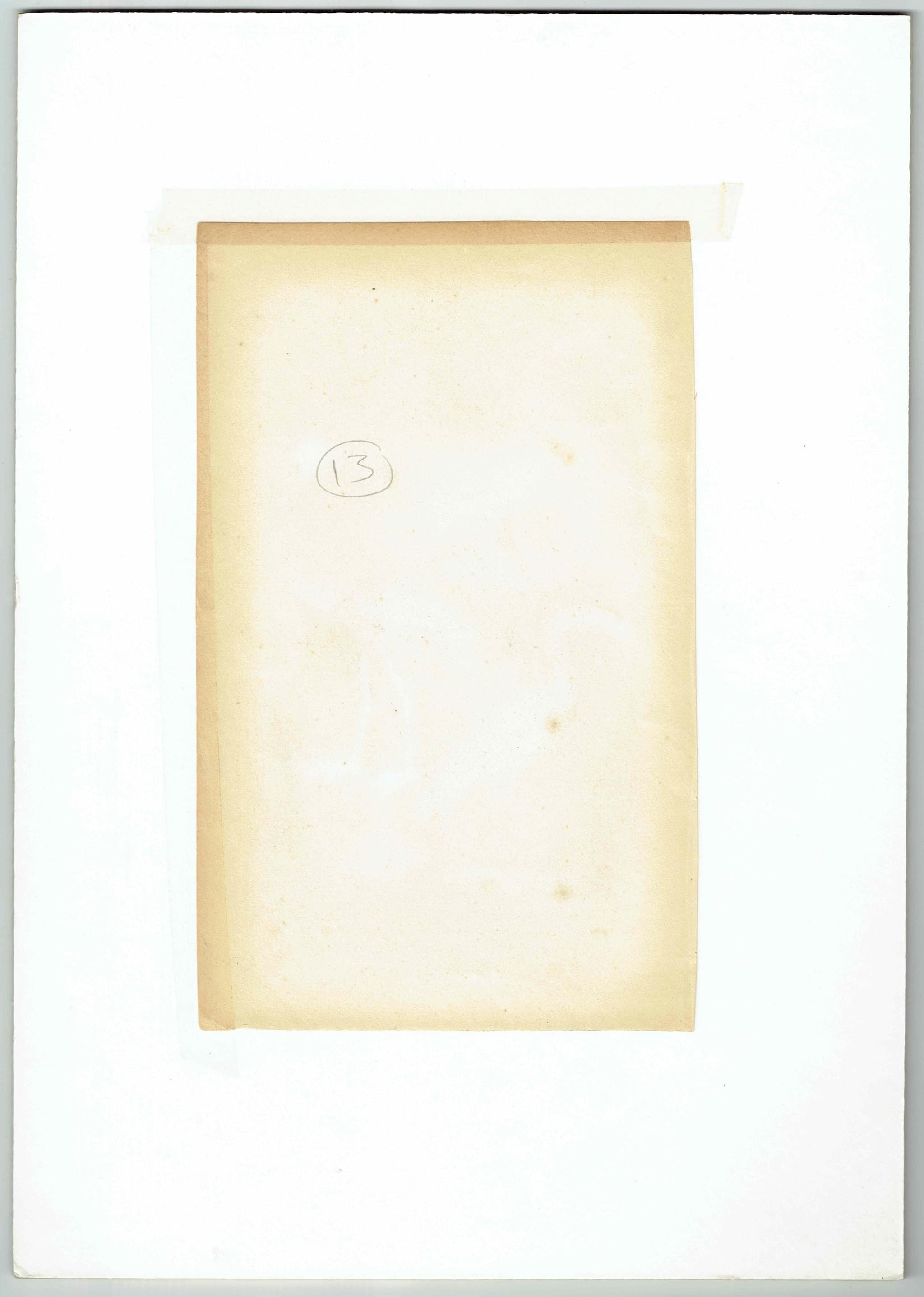 c.1836 Birds Cuvier Animal Kingdom Aves Print - Ibis, Spoonbill, Tantalus Birds Illustration - Ornithology Plate - 8.5 x 5.5 in - Image 4
