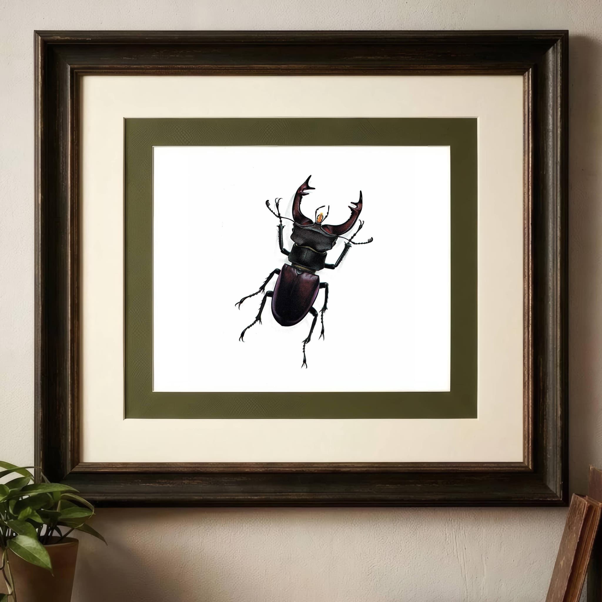 1986 Stag Beetle Lucanus Cervus Print – Bernard Durin Les Insectes Vintage Scientific Illustration – Linnaeus Entomology Art – 11 x 13 in - Image 2