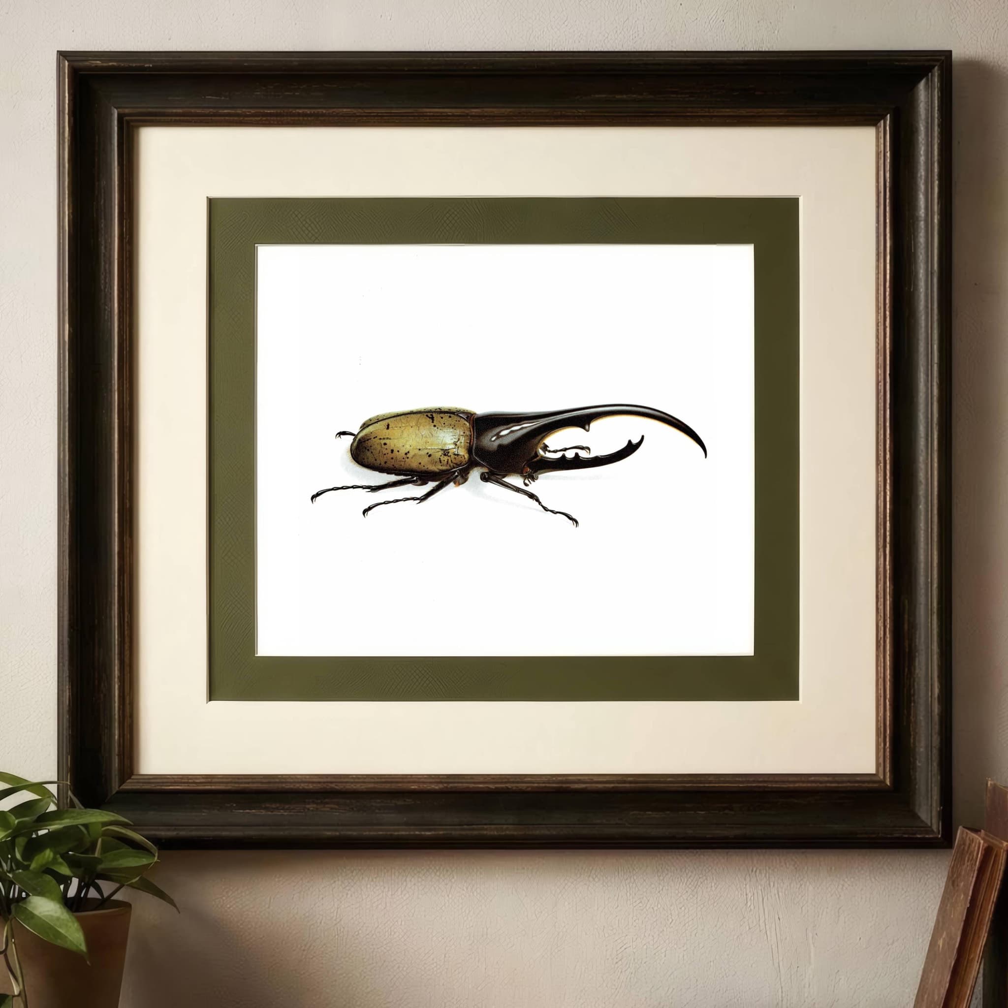 1986 Dynastes Hercules Beetle Print - Durin Bernard Les Insectes Scientific Illustration - Linnaeus Entomology - 11 x 13 in
