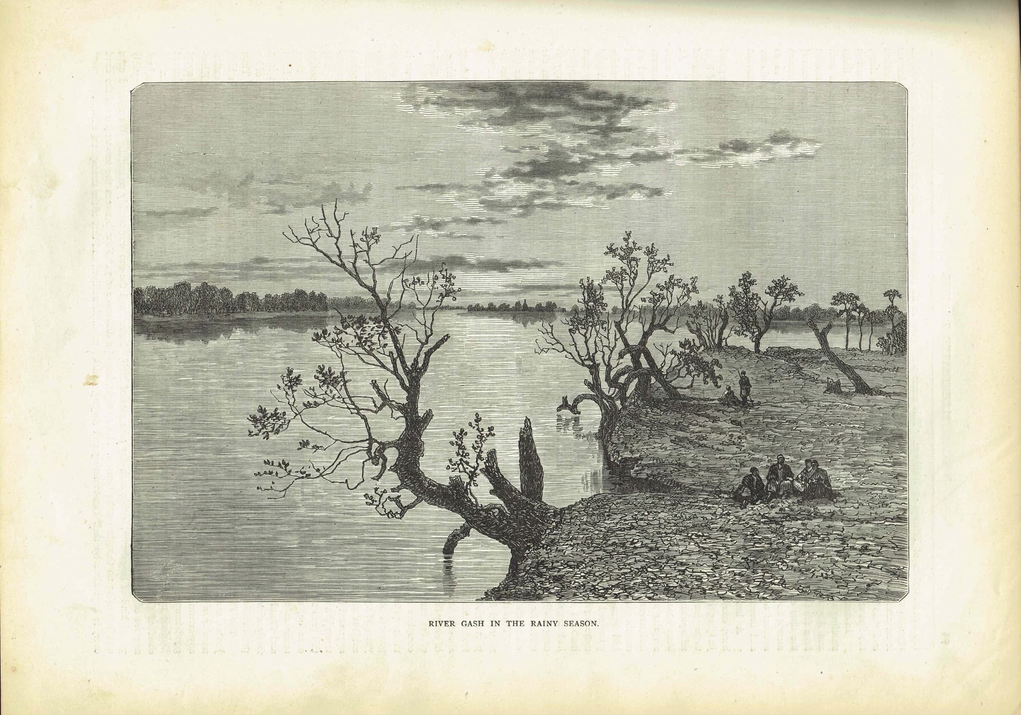 1870s Original Tropical River Gash Landscape - Victorian Travel Book Original Woodblock Print - Nature Print - 12 x 8.5 in - Image 2