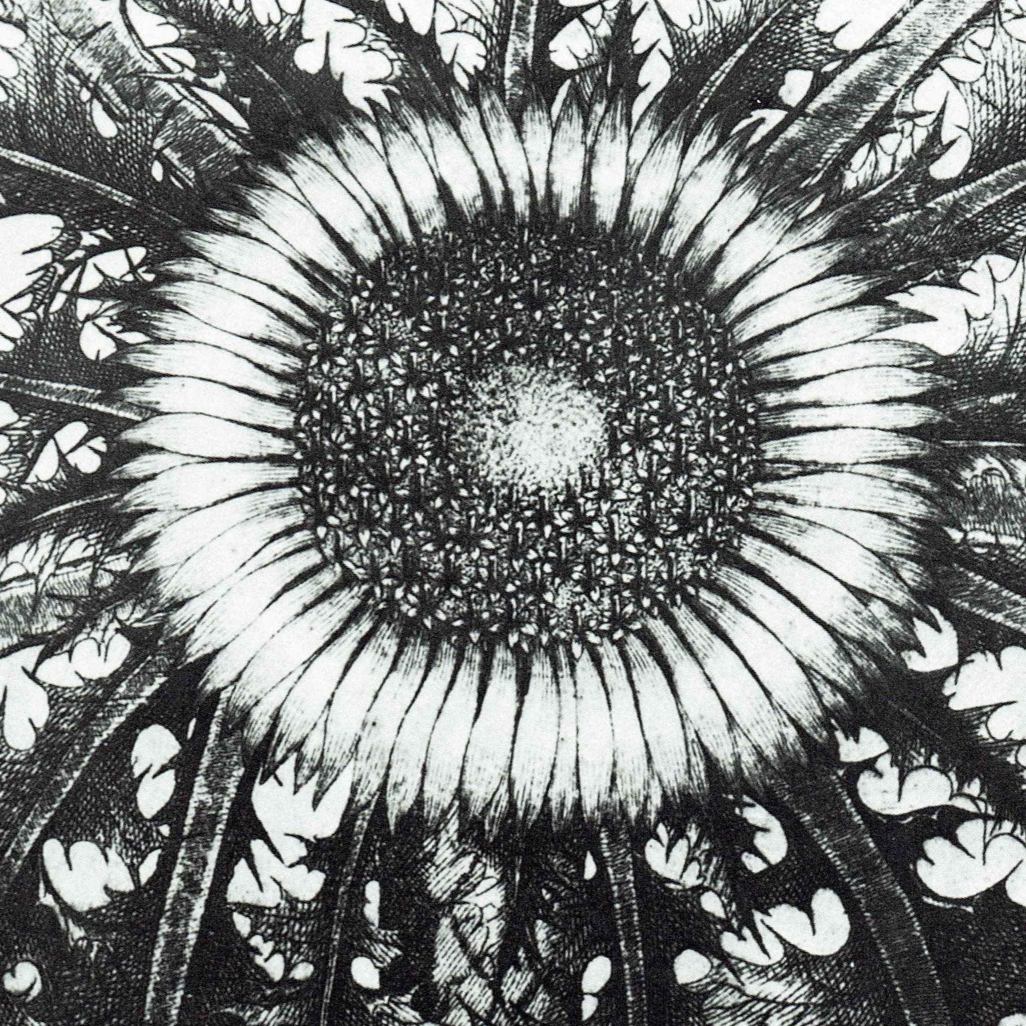 Carline Thistle - Original Vintage Print By Allioni - Flora Pedemontana Plate 51 Botanical Study Flower Art - 10 x 14 in - Image 3
