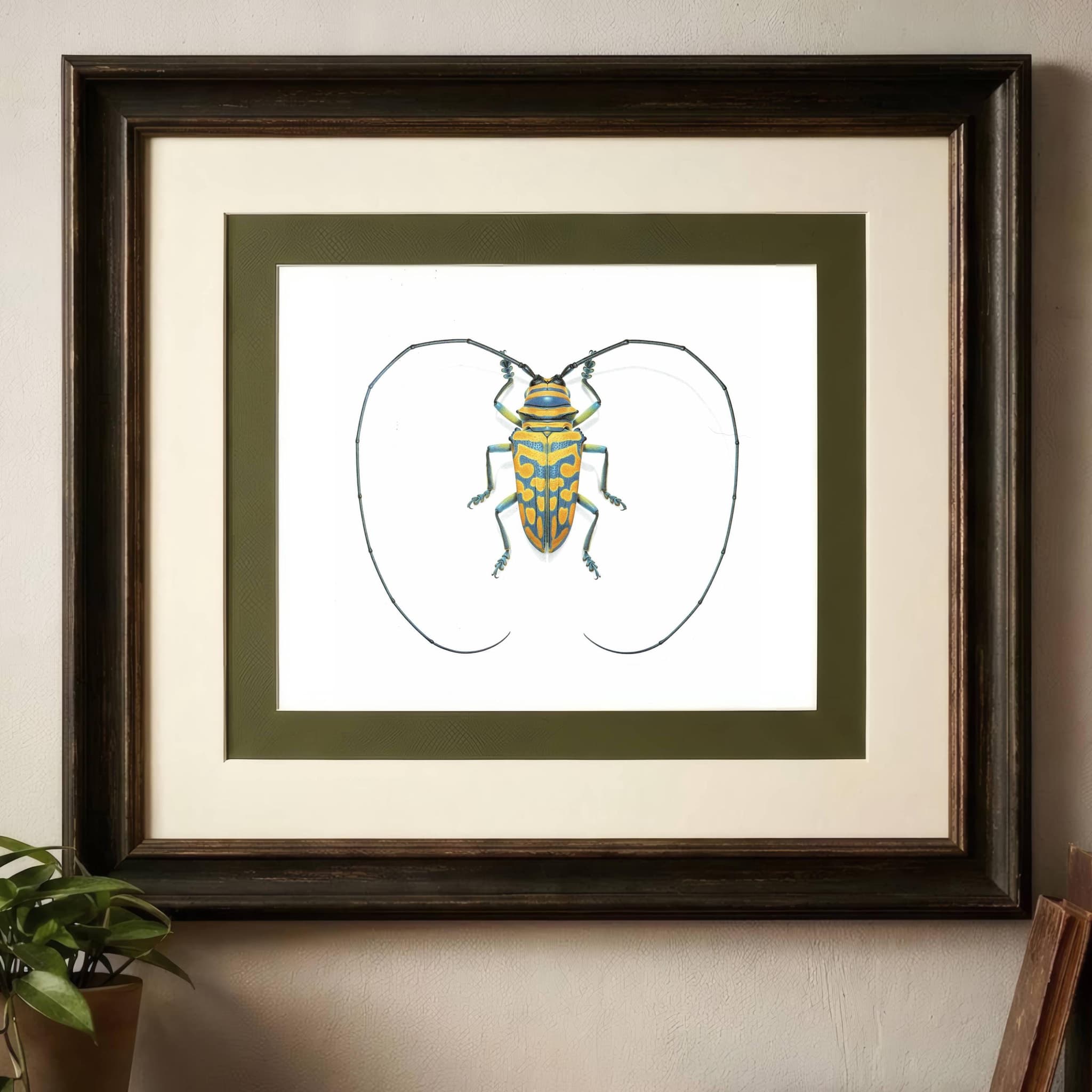 1986 Jewel Longhorn Beetle Sternotomis Bohemani Print - Durin Bernard Les Insectes Scientific Picture - Chevrolat Entomology - 11 x 13 in - Image 2