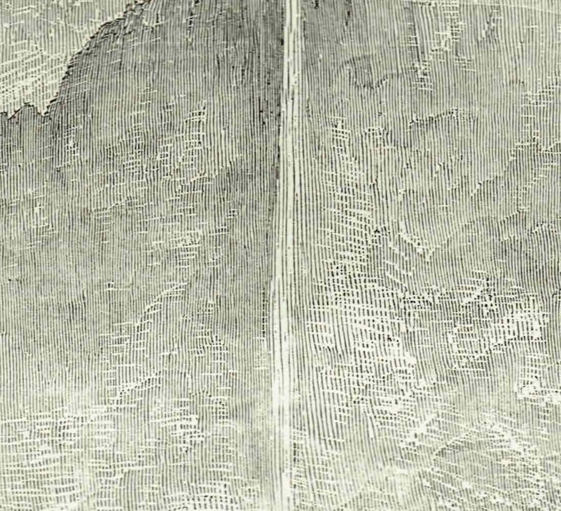 1870s Yosemite Waterfall - Grand Cascade Mountain Landscape - Victorian Original Woodblock Print - 8.5 x 12 in - Image 4