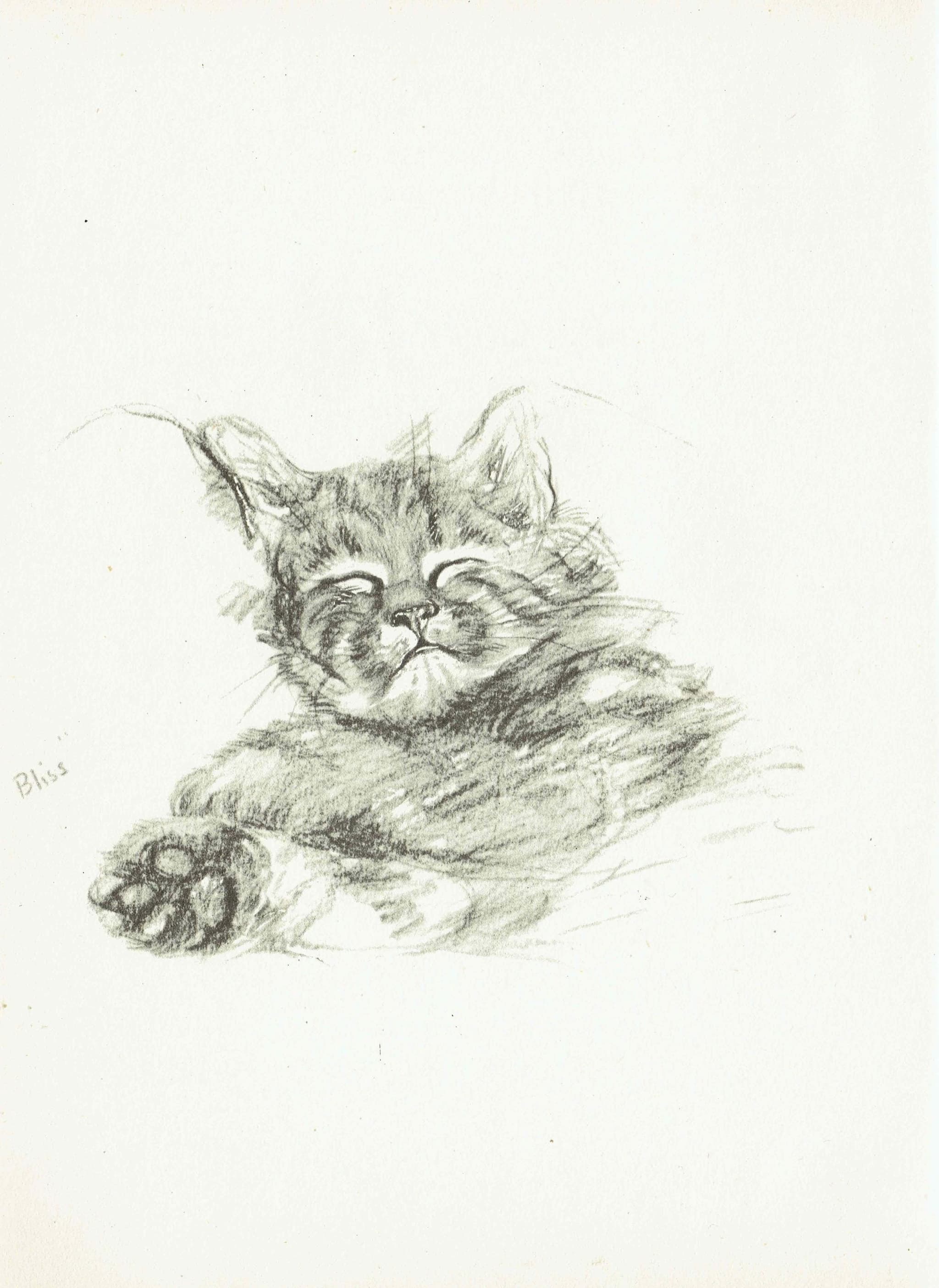 1946 Sleeping Kitten 'Bliss' - Original Vintage Print By Dawson - Cat Portrait Pet Animal Art Neighbours Book - 7 x 9.5 in - Image 2