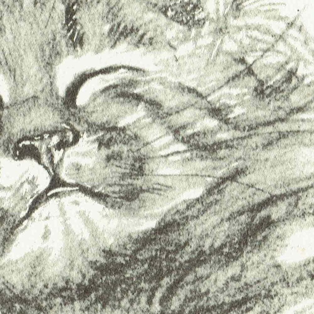 1946 Sleeping Kitten 'Bliss' - Original Vintage Print By Dawson - Cat Portrait Pet Animal Art Neighbours Book - 7 x 9.5 in - Image 3