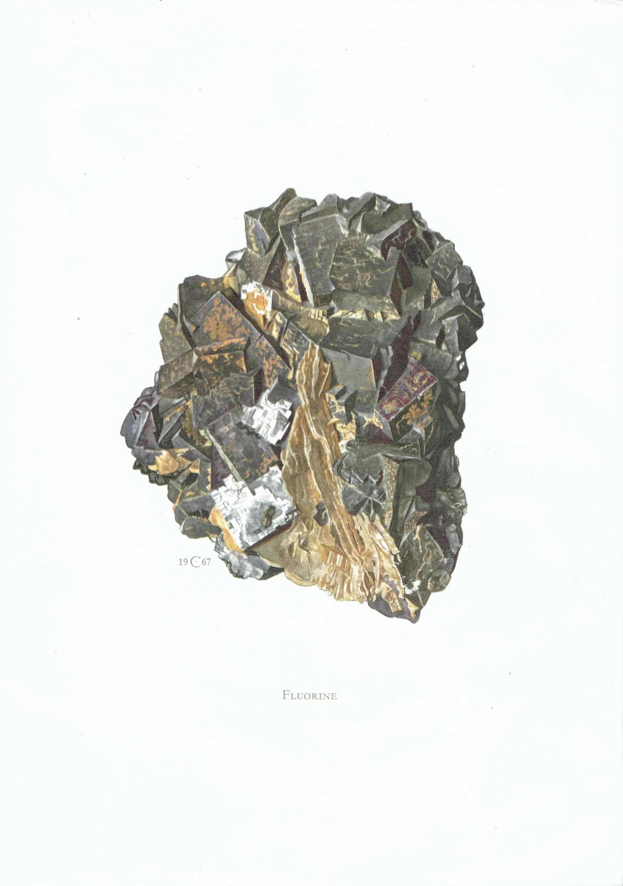 1969 Fluorine Crystal - Original Vintage Print By Caspari - Mineral Study Scientific Natural History Geology Art - 7.5 x 10.5 in - Image 2