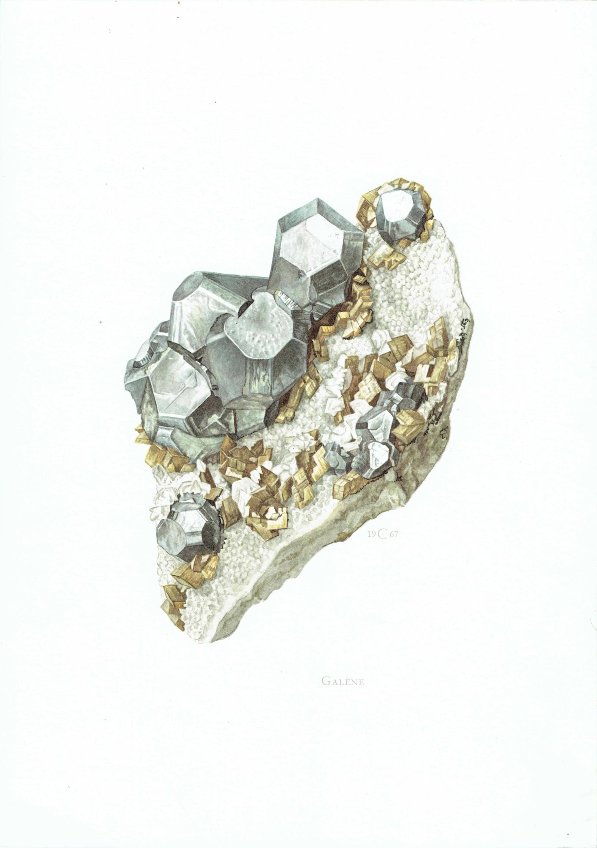 1969 Galene Crystal - Original Vintage Print By Caspari - Mineral Study Scientific Natural History Geology Art - 7.5 x 10.5 in - Image 2