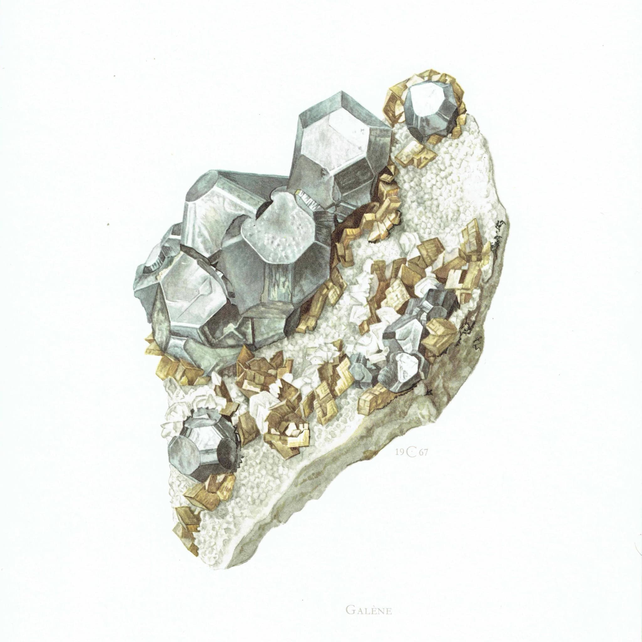 1969 Galene Crystal - Original Vintage Print By Caspari - Mineral Study Scientific Natural History Geology Art - 7.5 x 10.5 in - Image 3