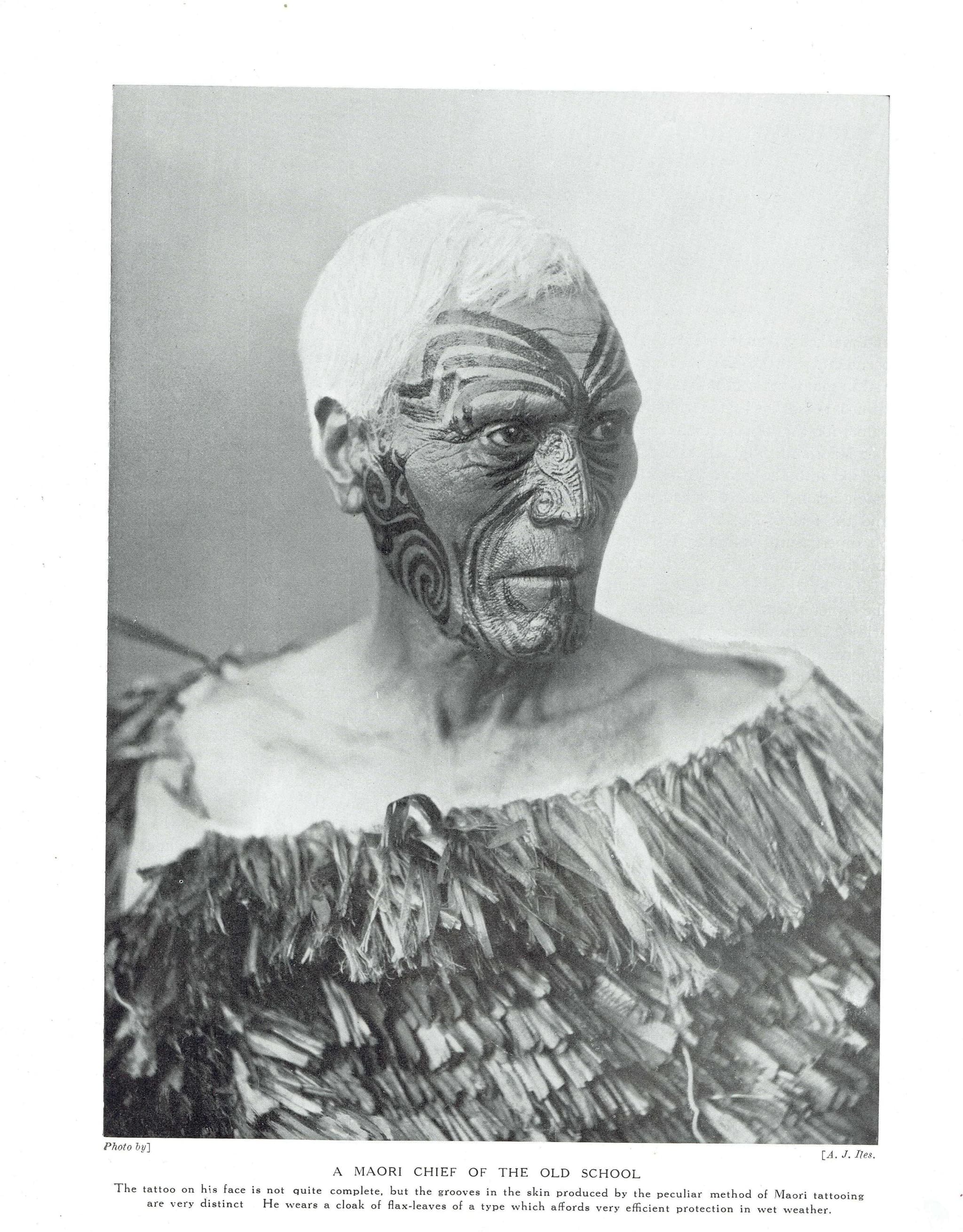 Image 1 copy 1